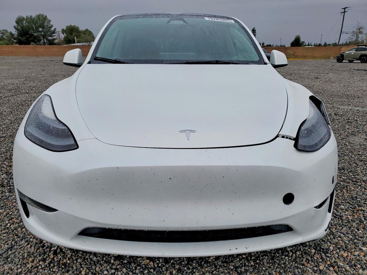 2023 Tesla Model Y - Image 5