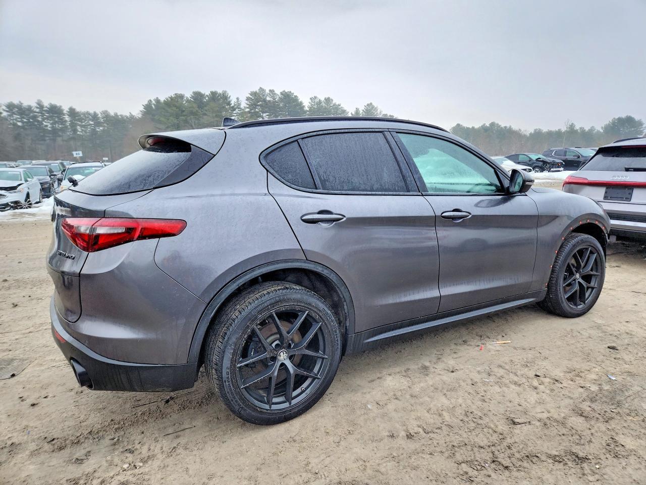 2019 Alfa Romeo Stelvio Quadrifoglio - Фото 3