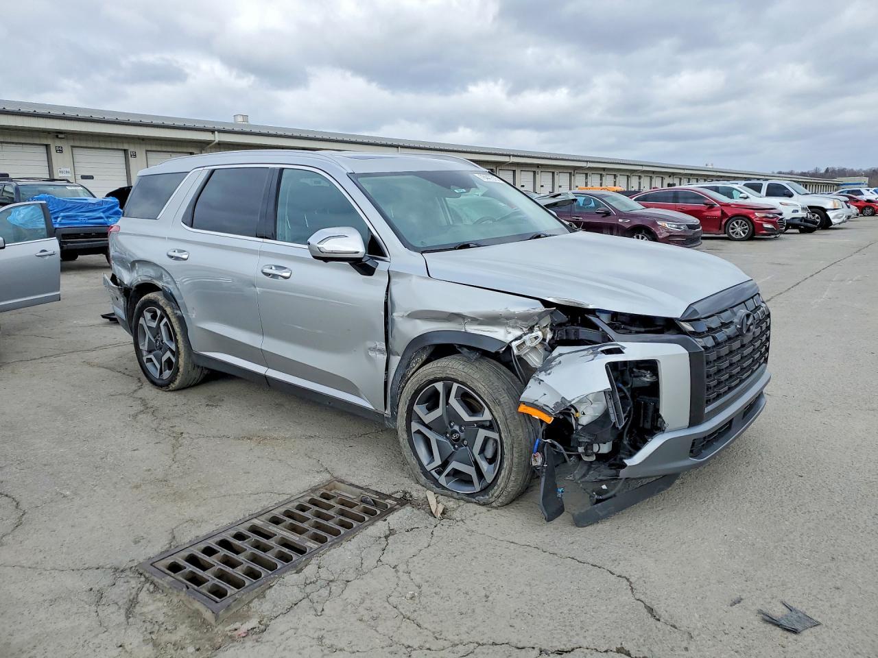 2024 Hyundai Palisade Limited - Фото 4