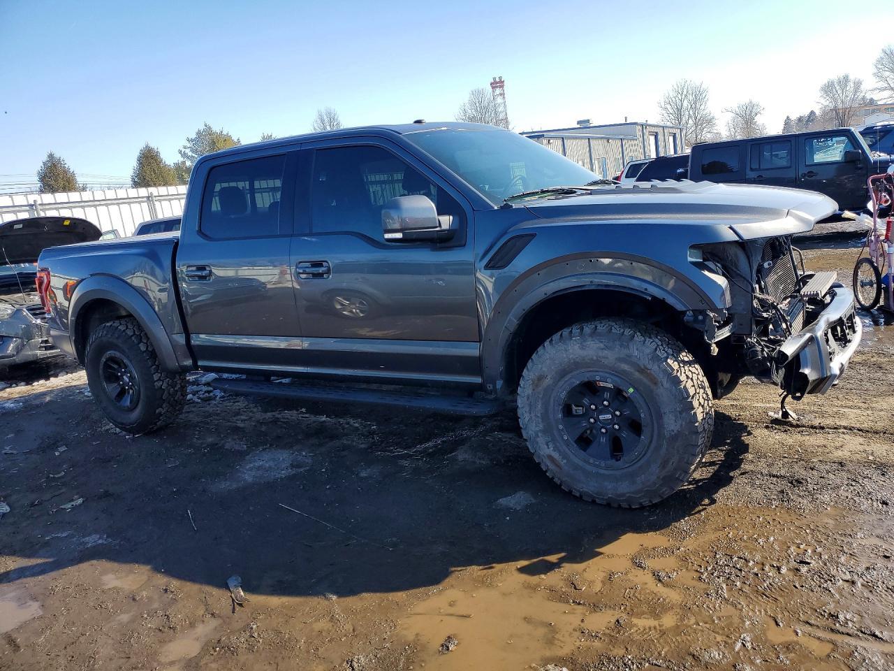 2018 Ford F150 Raptor - Фото 4