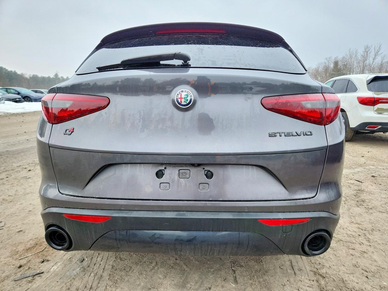 2019 Alfa Romeo Stelvio Quadrifoglio - Фото 6