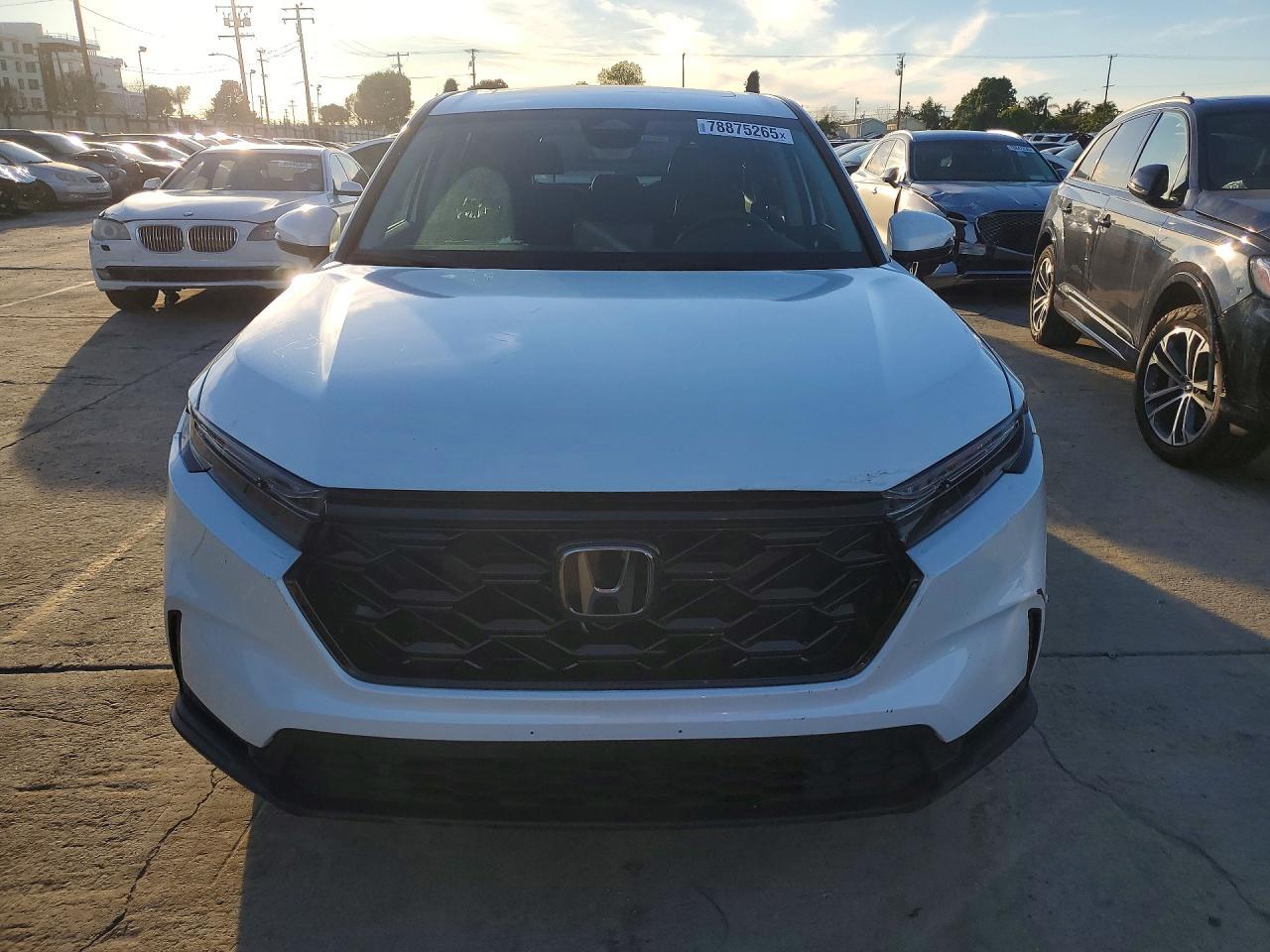 2025 Honda Cr-V Exl - Image 5