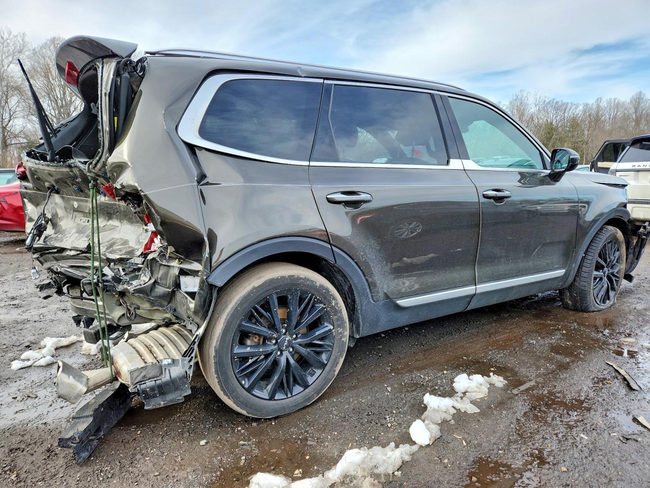 2022 Kia Telluride Sx - Фото 3