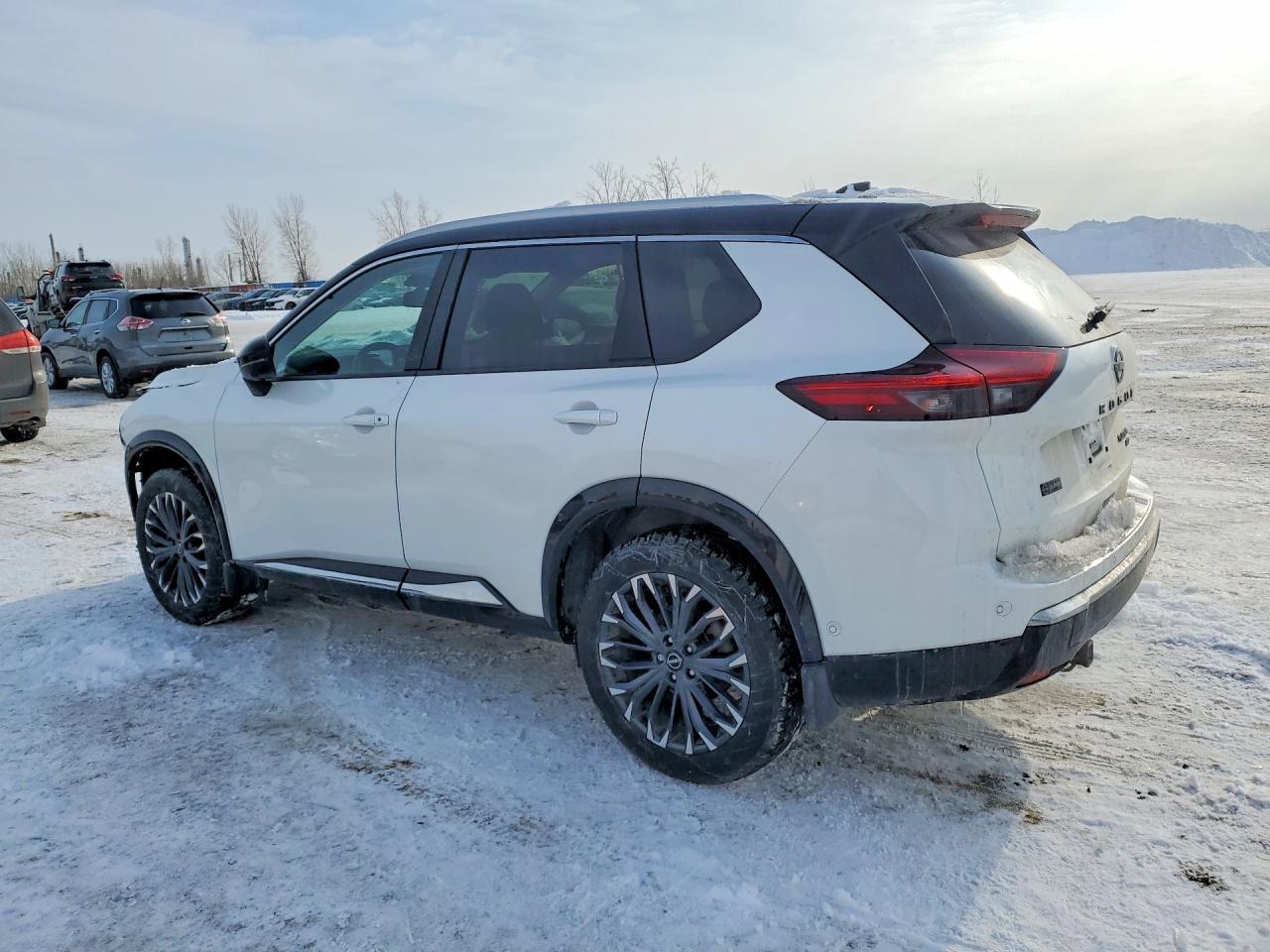 2025 Nissan Rogue Platinum - Фото 2