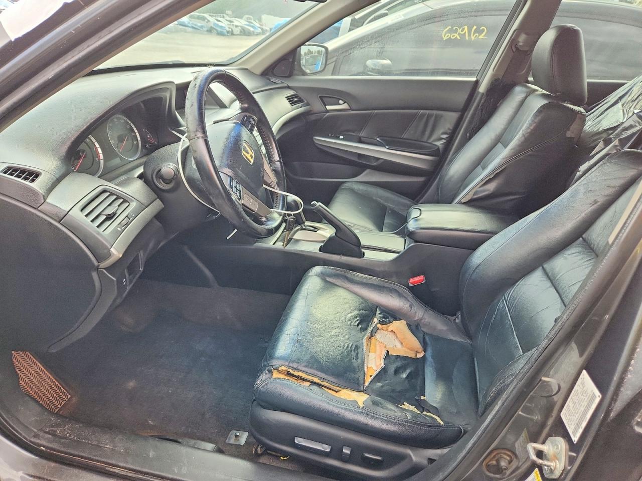 2010 Honda Accord Exl - Image 7