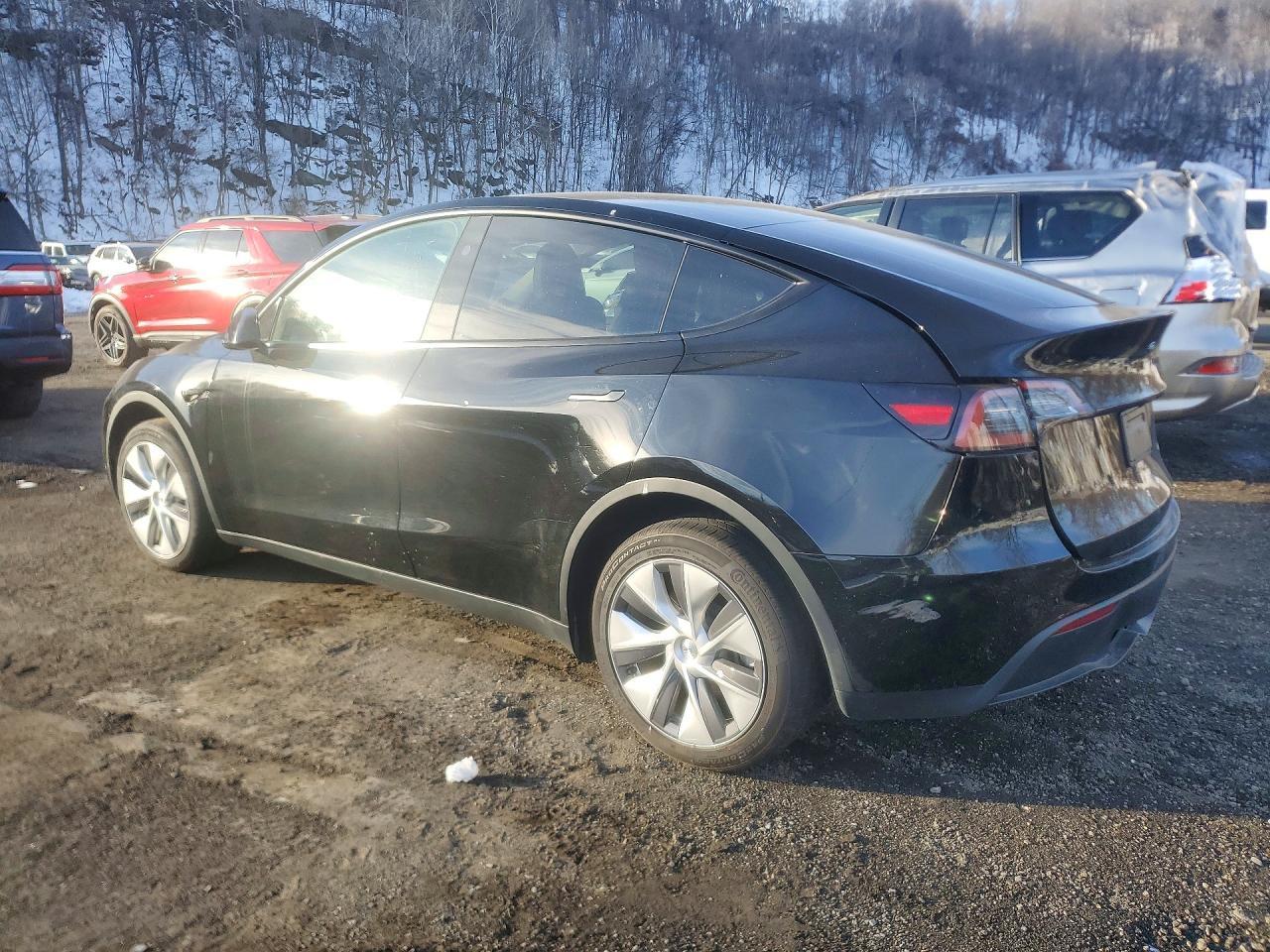 2024 Tesla Model Y - Фото 2