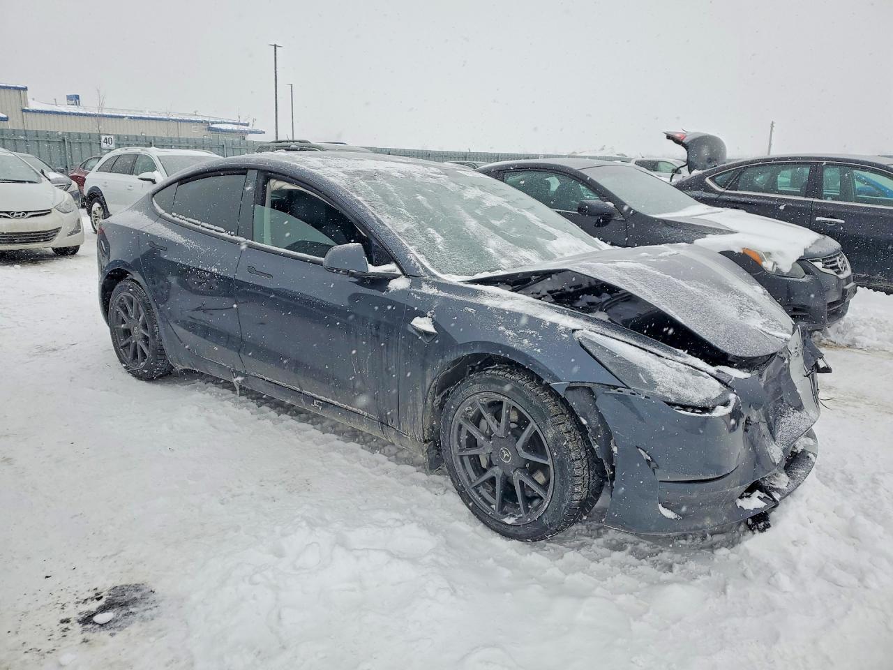 2023 Tesla Model 3 - Фото 4