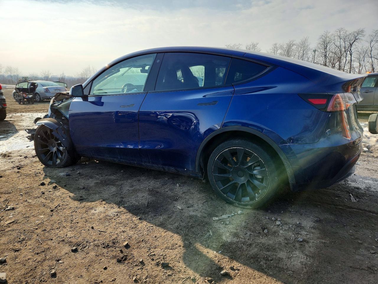 2022 Tesla Model Y - Фото 2