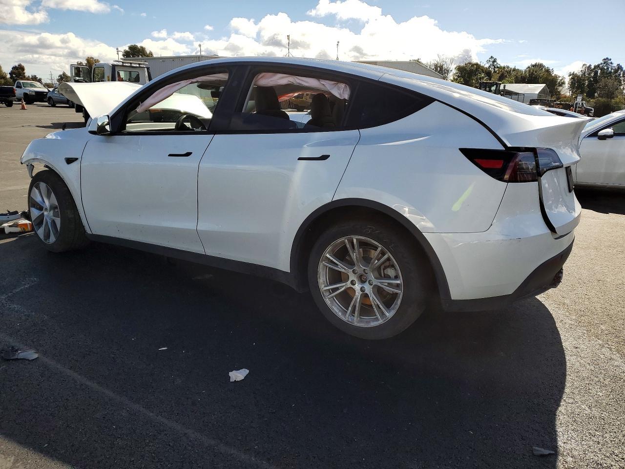 2023 Tesla Model Y - Фото 2