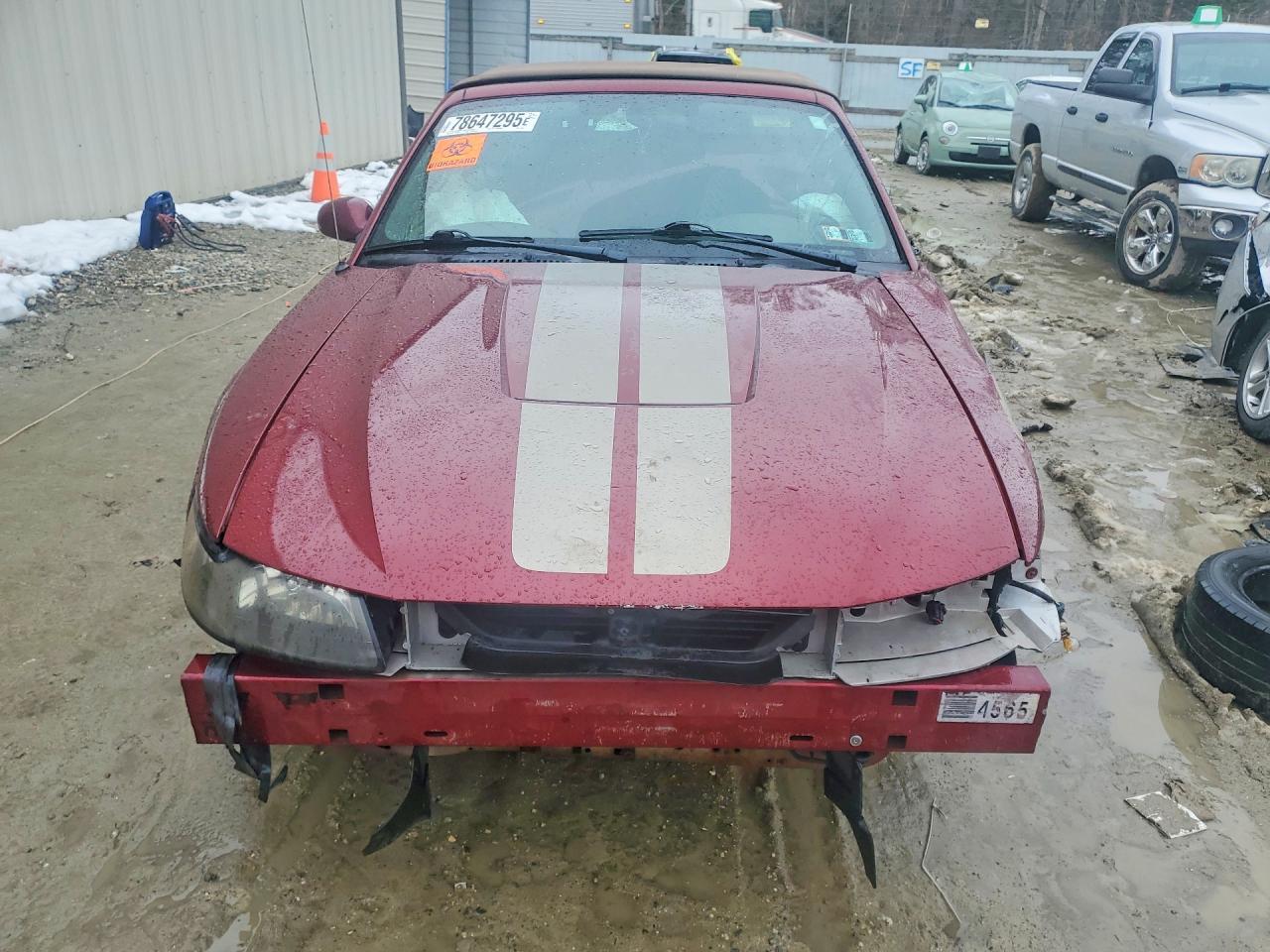 2004 Ford Mustang - Image 5