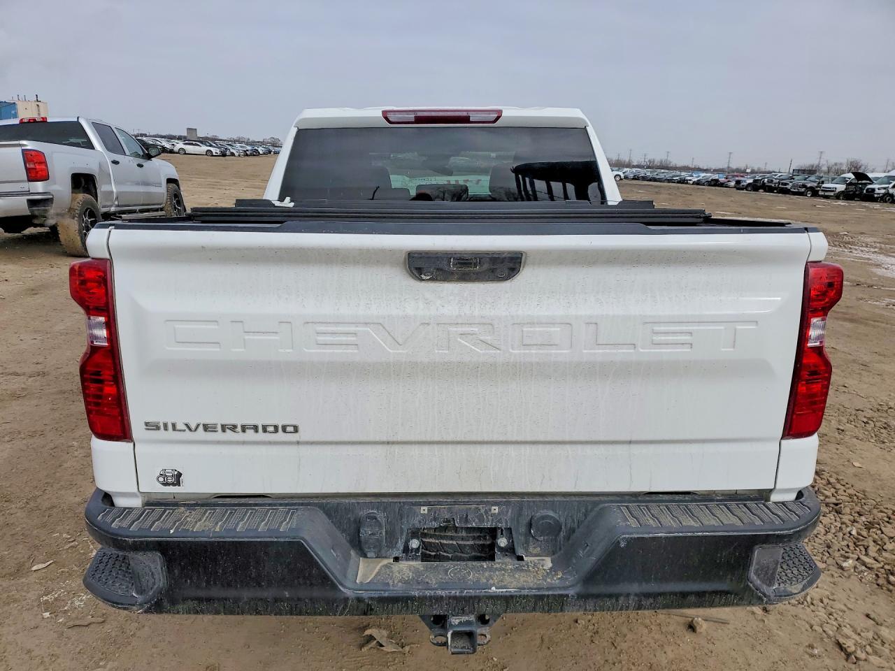 2023 Chevrolet Silverado K1500 - Фото 6