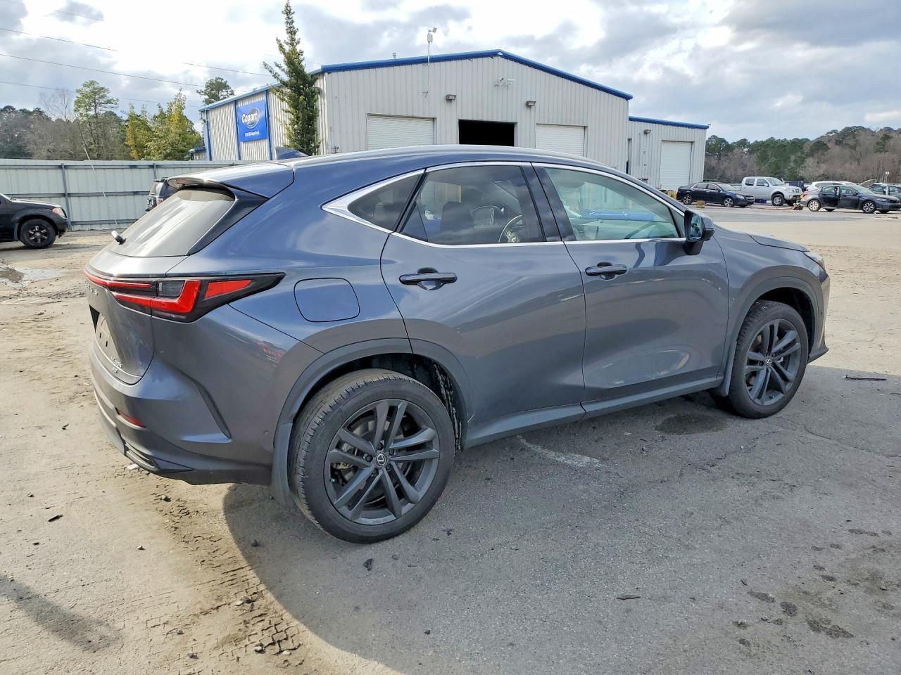 2024 Lexus Nx 450H Luxury - Фото 3