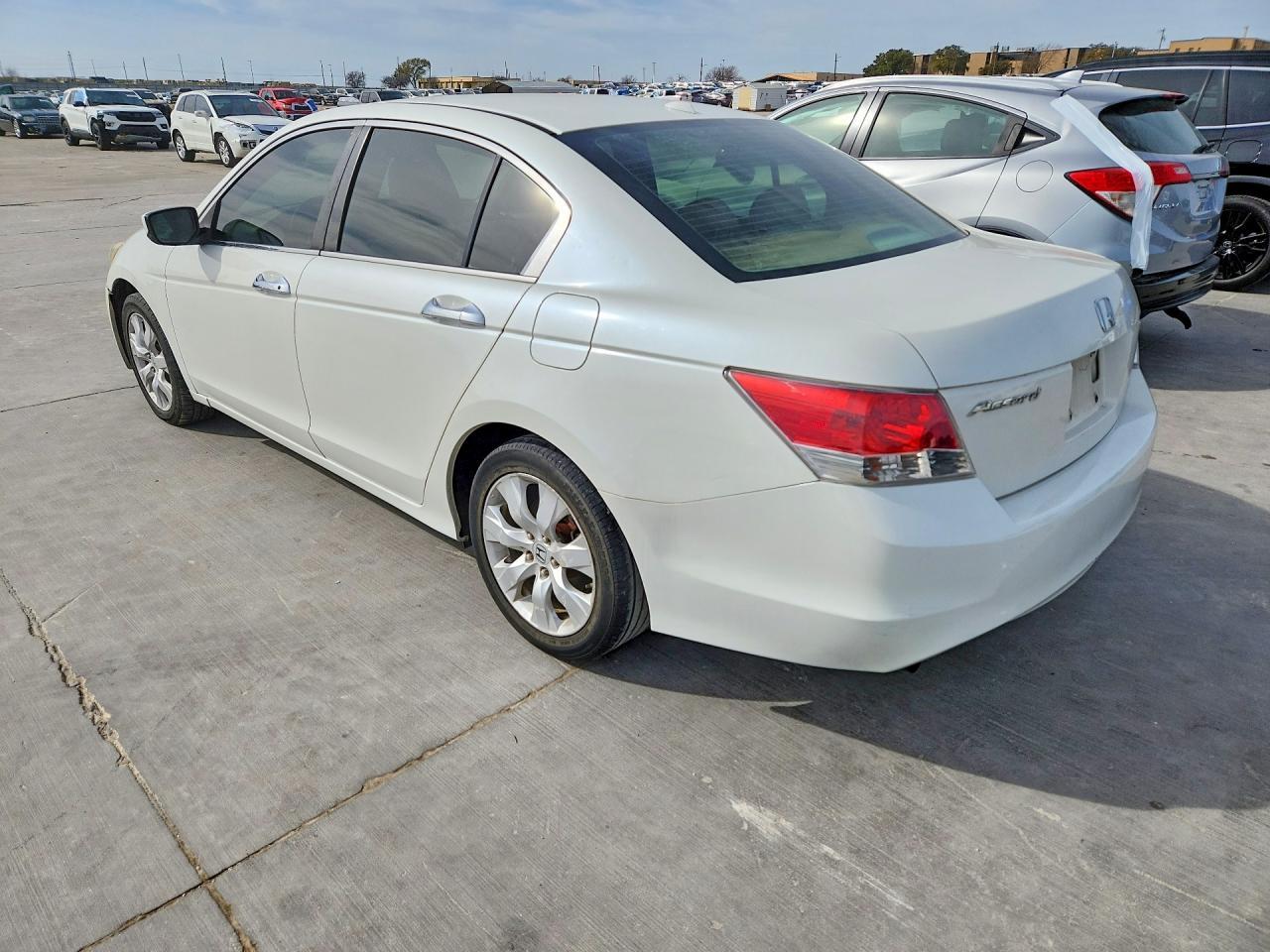 2009 Honda Accord Exl - Фото 2