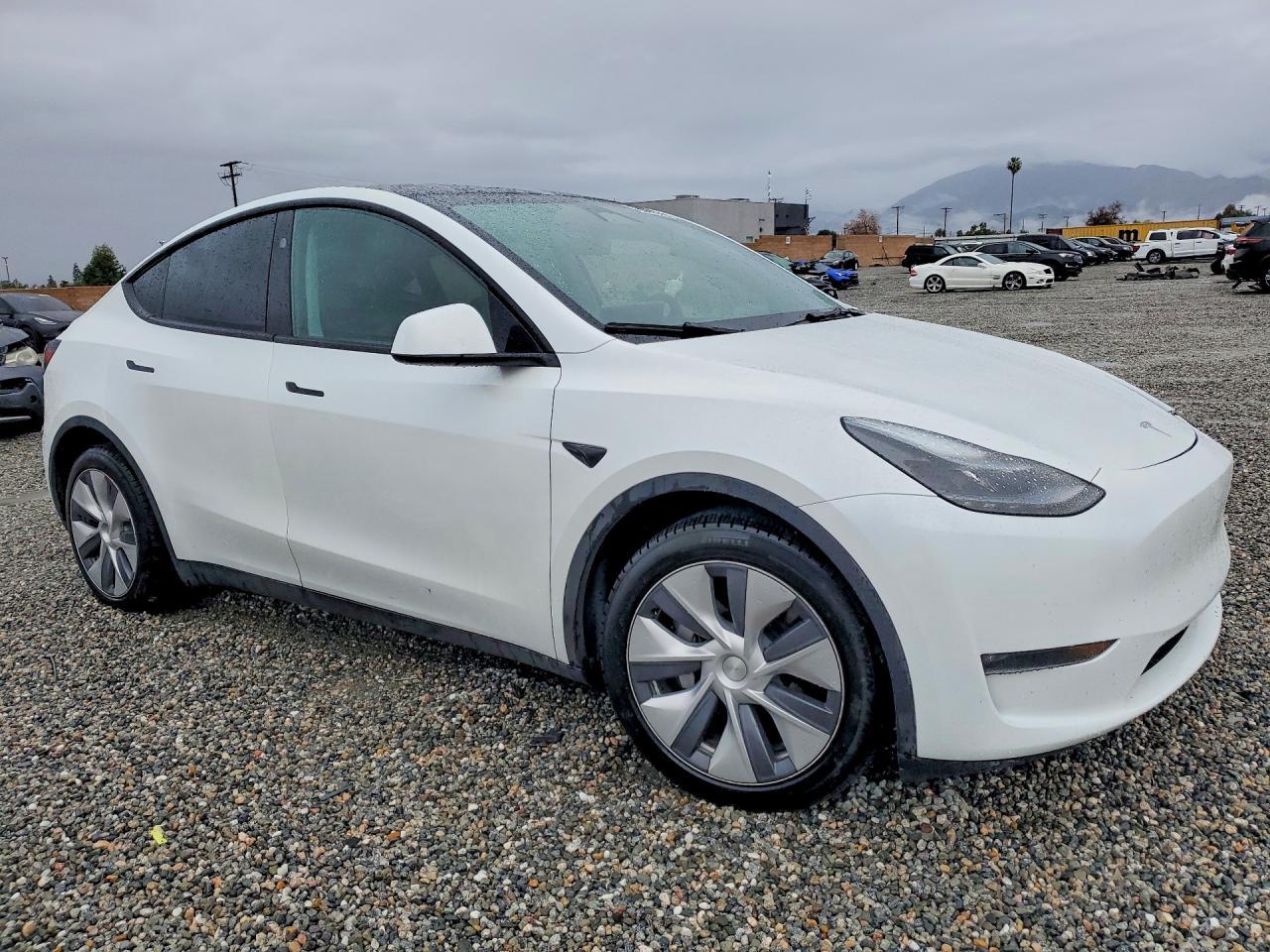 2023 Tesla Model Y - Image 4