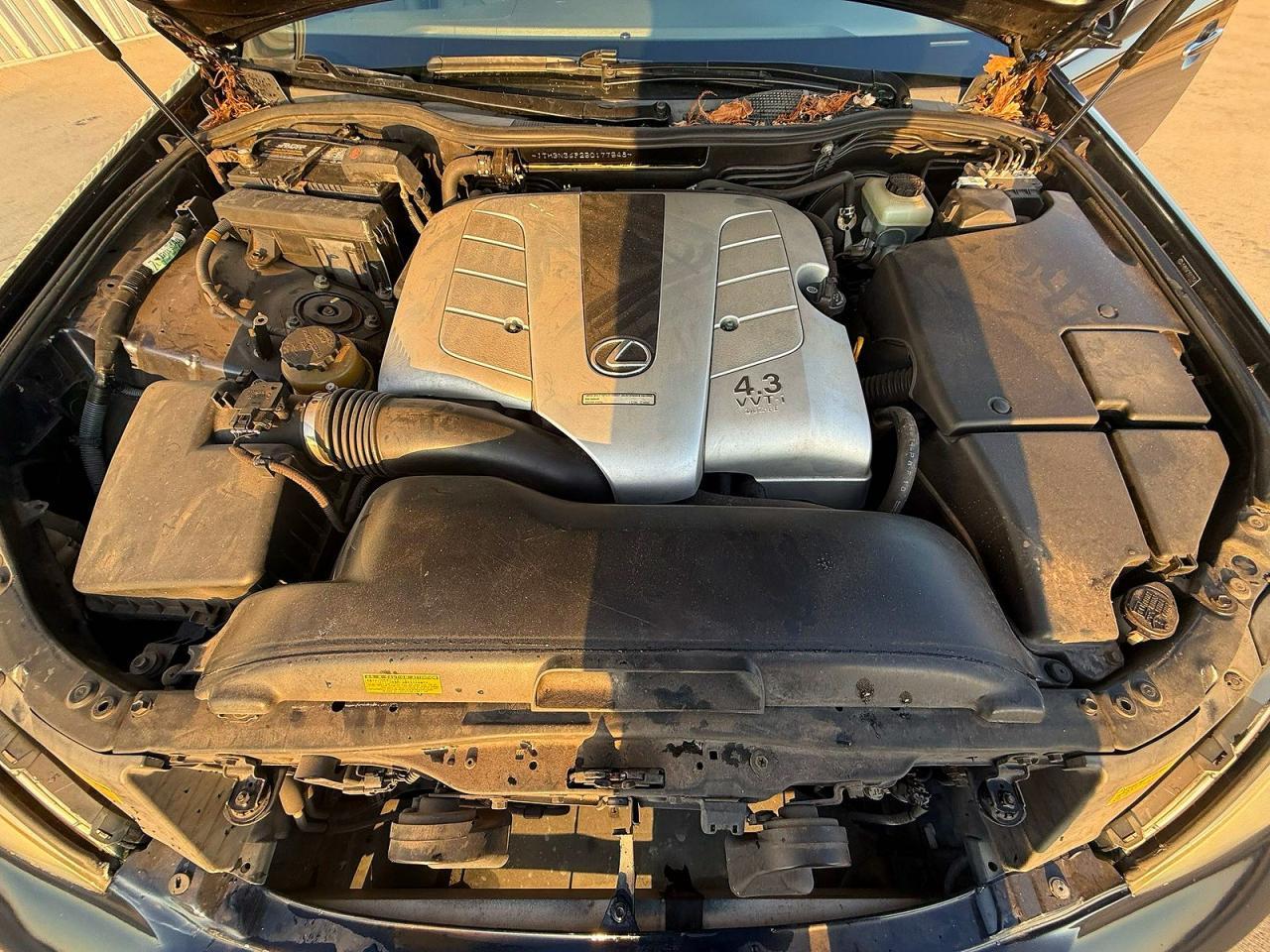 2005 Lexs Ls 430 Blue - Image 7