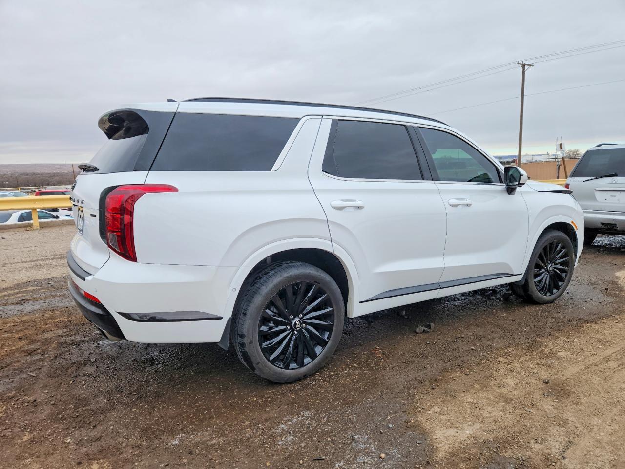 2025 Hyundai Palisade Calligraphy - Фото 3