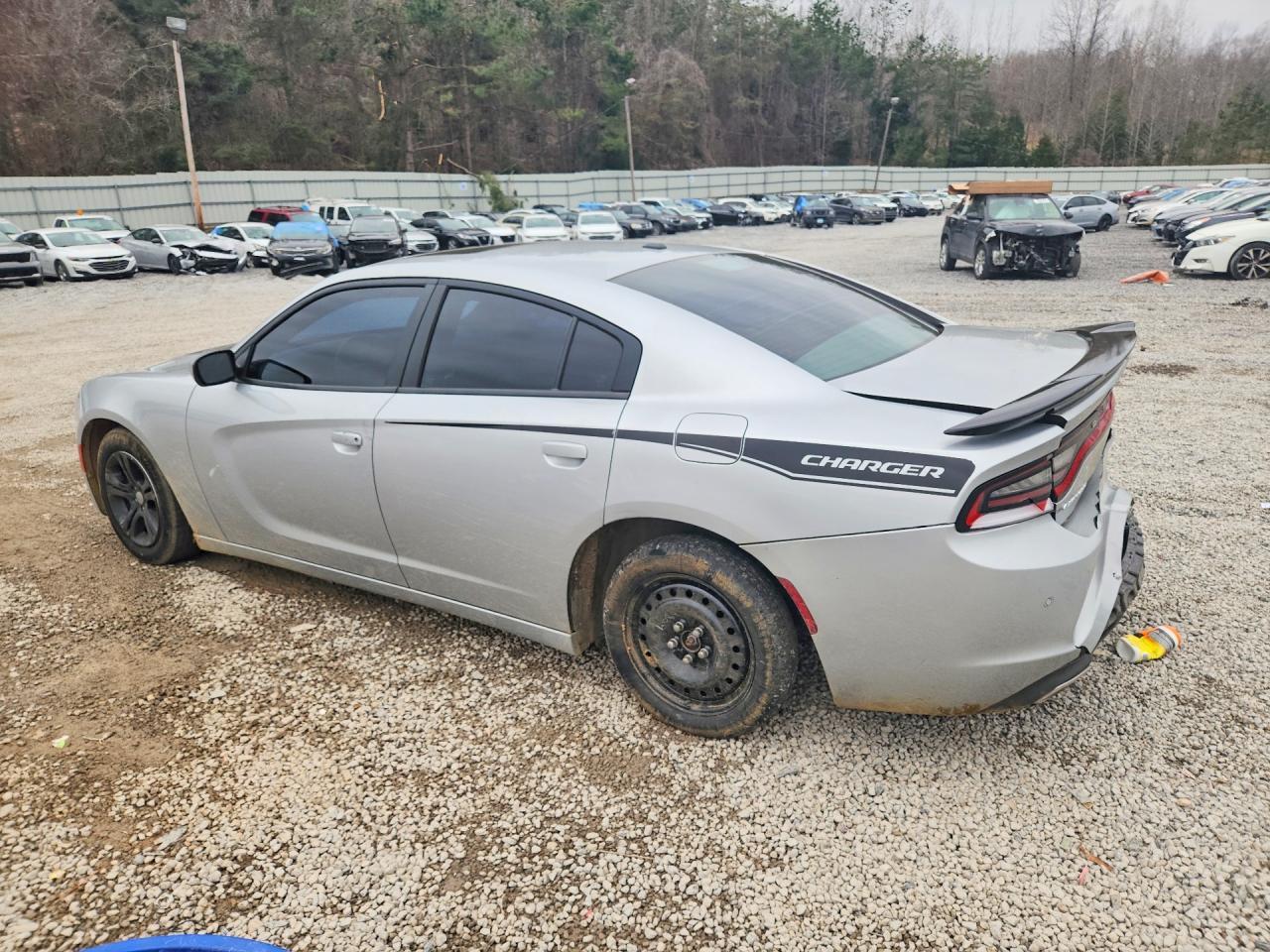 2020 Dodge Charger Sxt - Фото 2