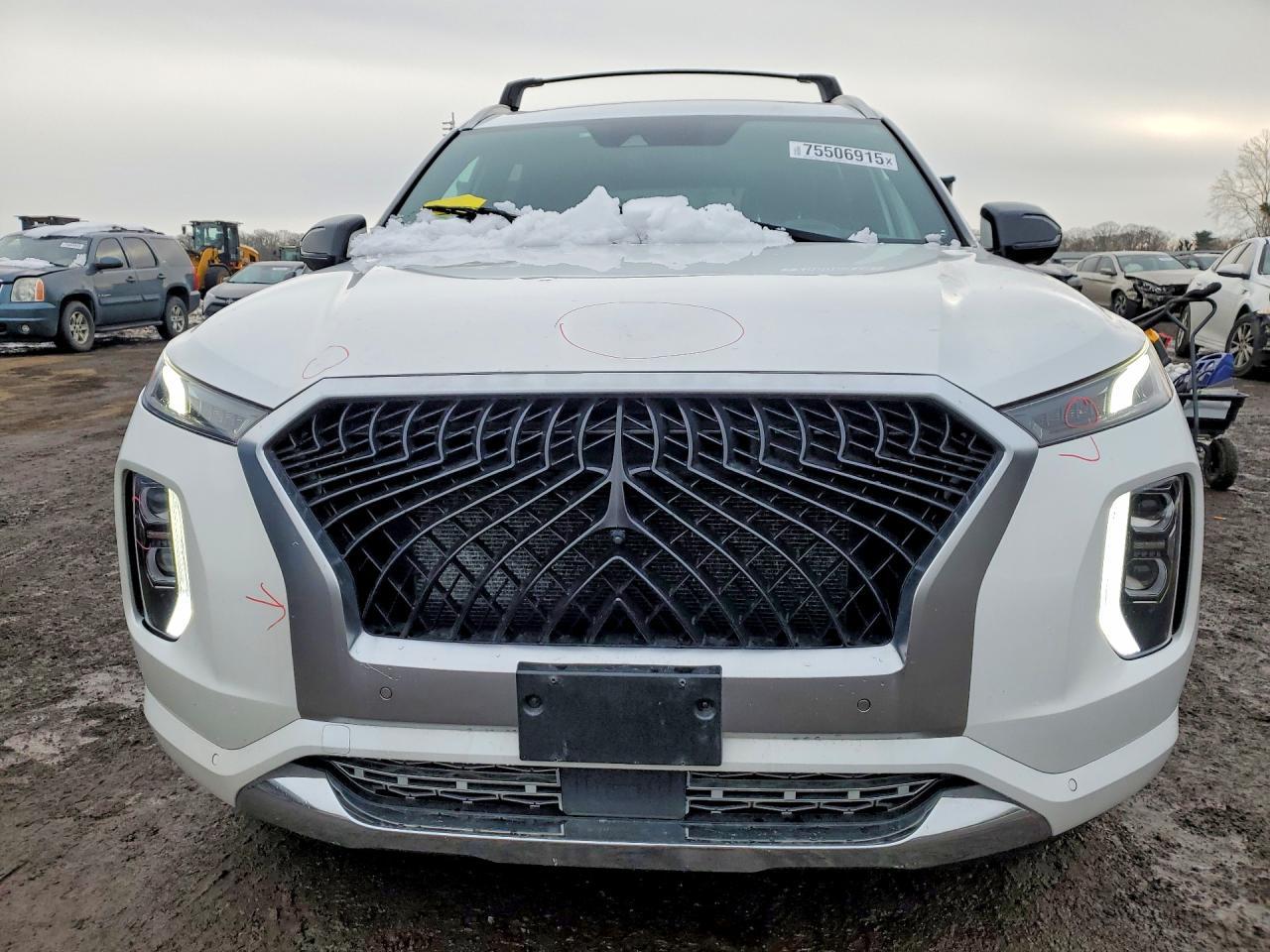 2020 Hyundai Palisade Limited - Фото 5