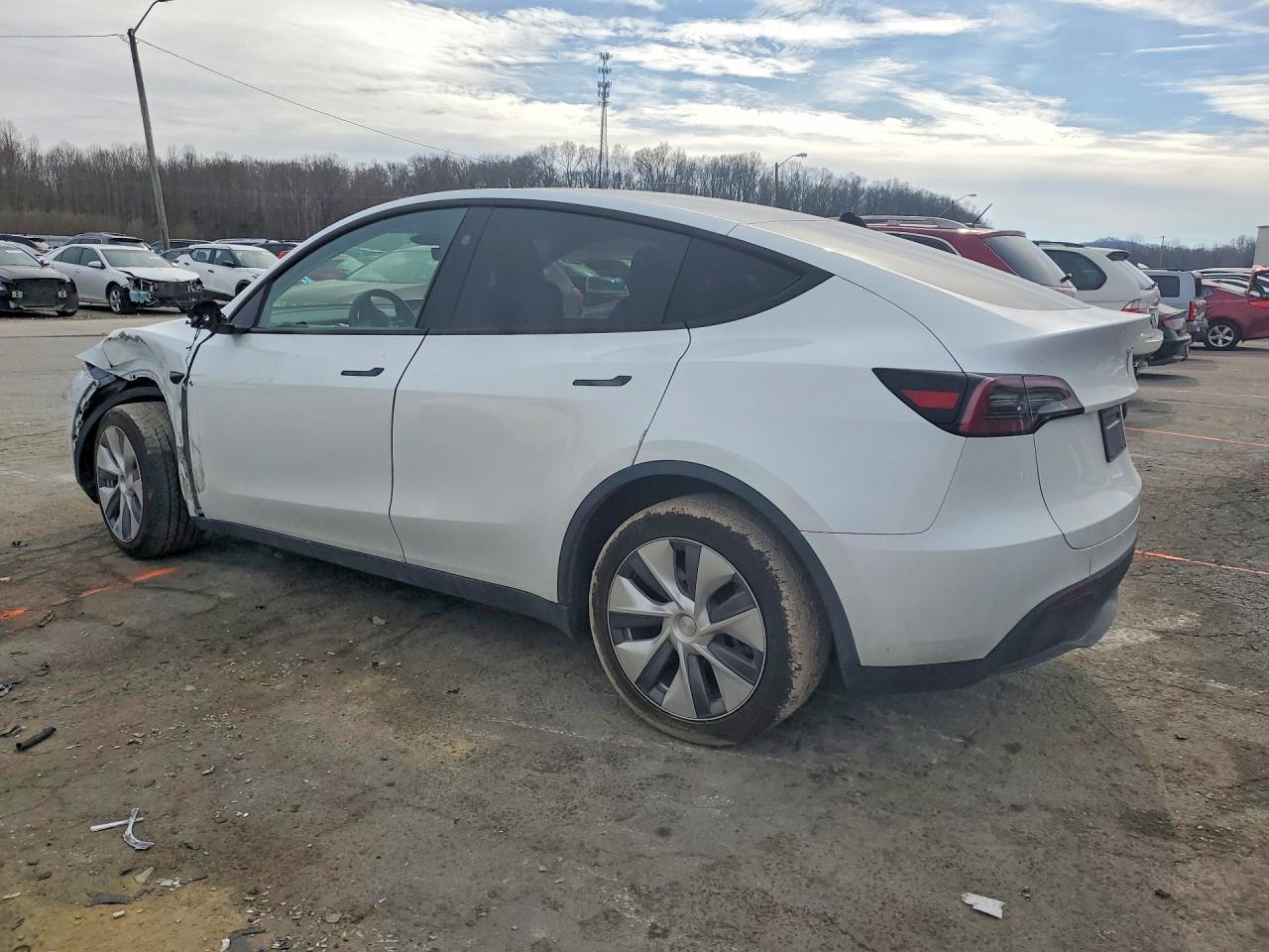 2023 Tesla Model Y - Фото 2