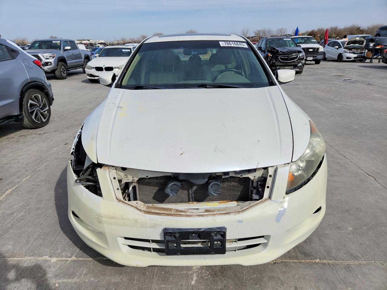 2009 Honda Accord Exl - Фото 5