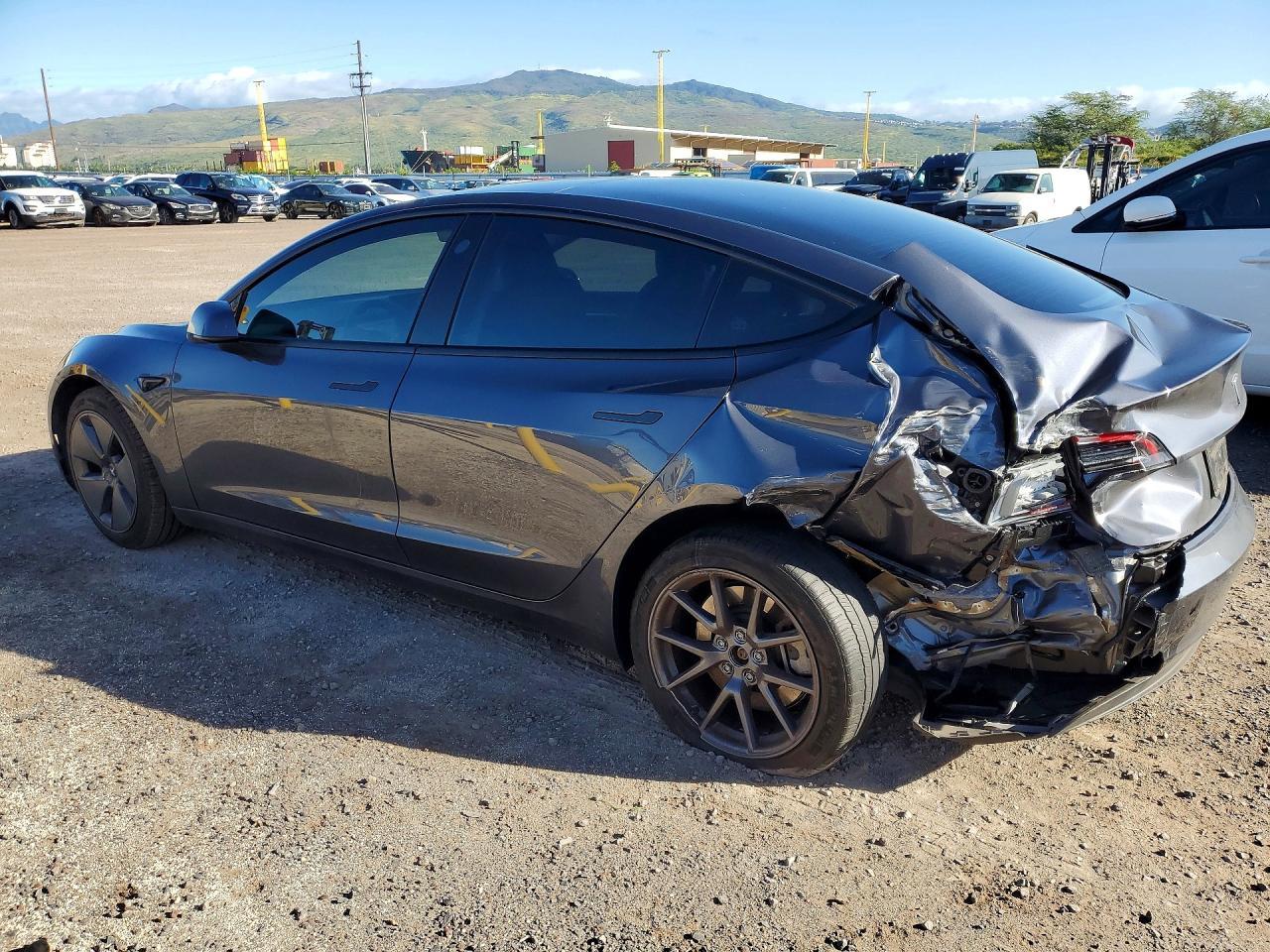 2023 Tesla Model 3 - Фото 2