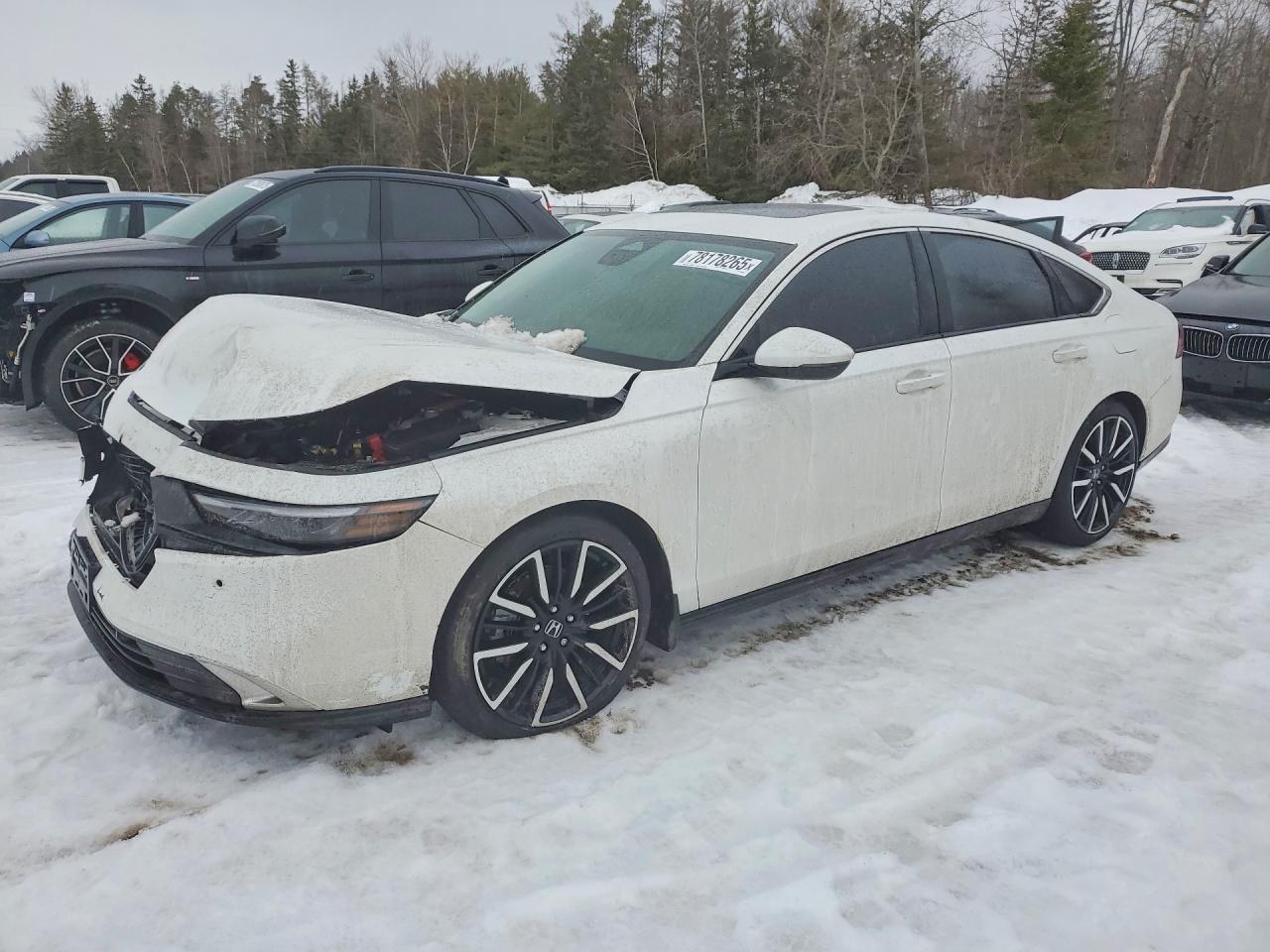 2025 Honda Accord Touring Hybrid