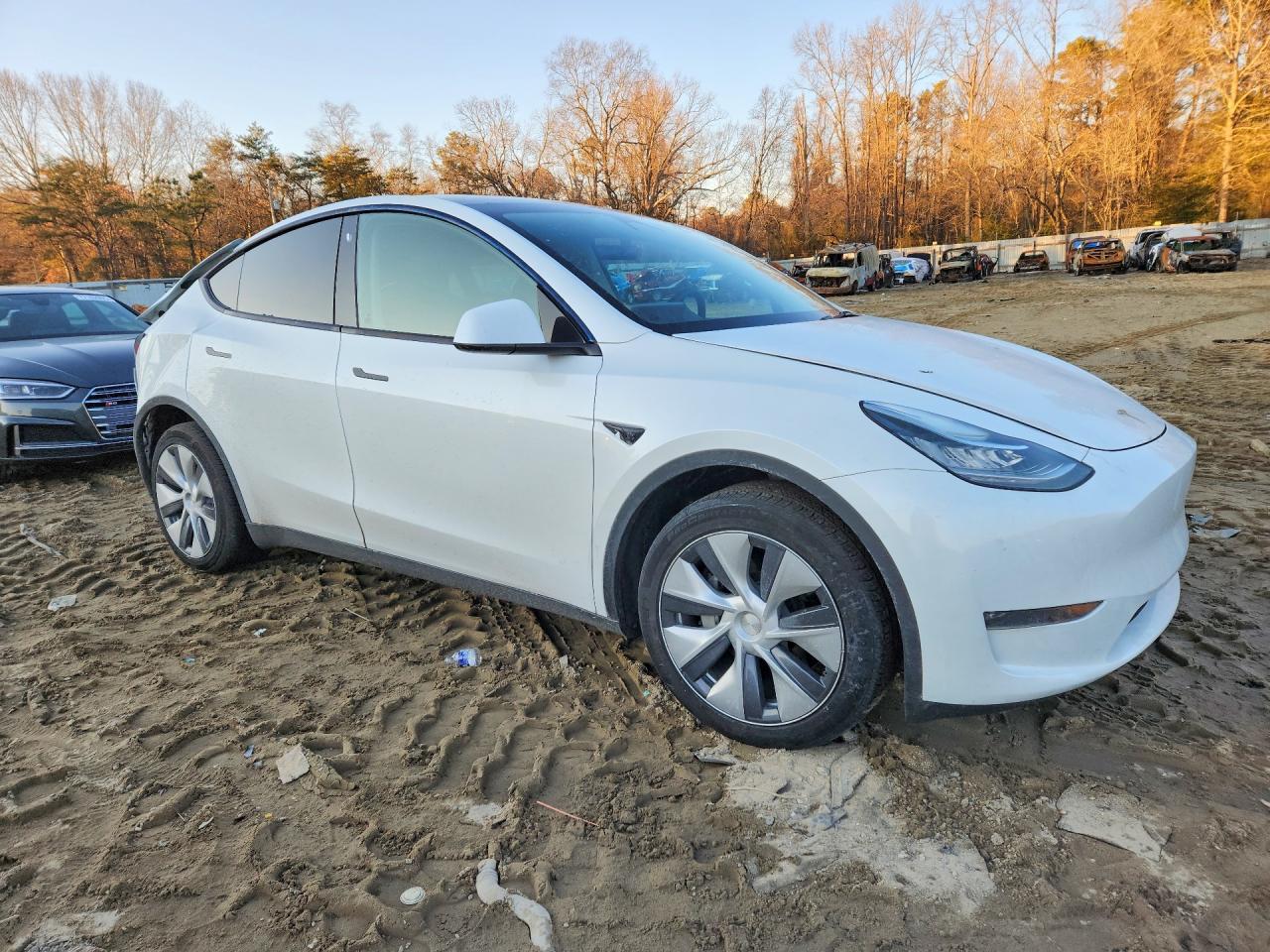2023 Tesla Model Y - Фото 4