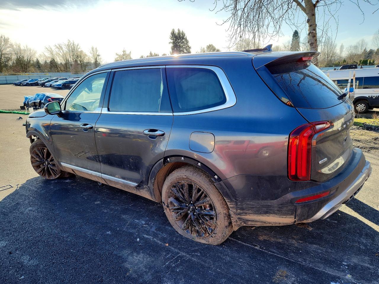2020 Kia Telluride Sx - Фото 2