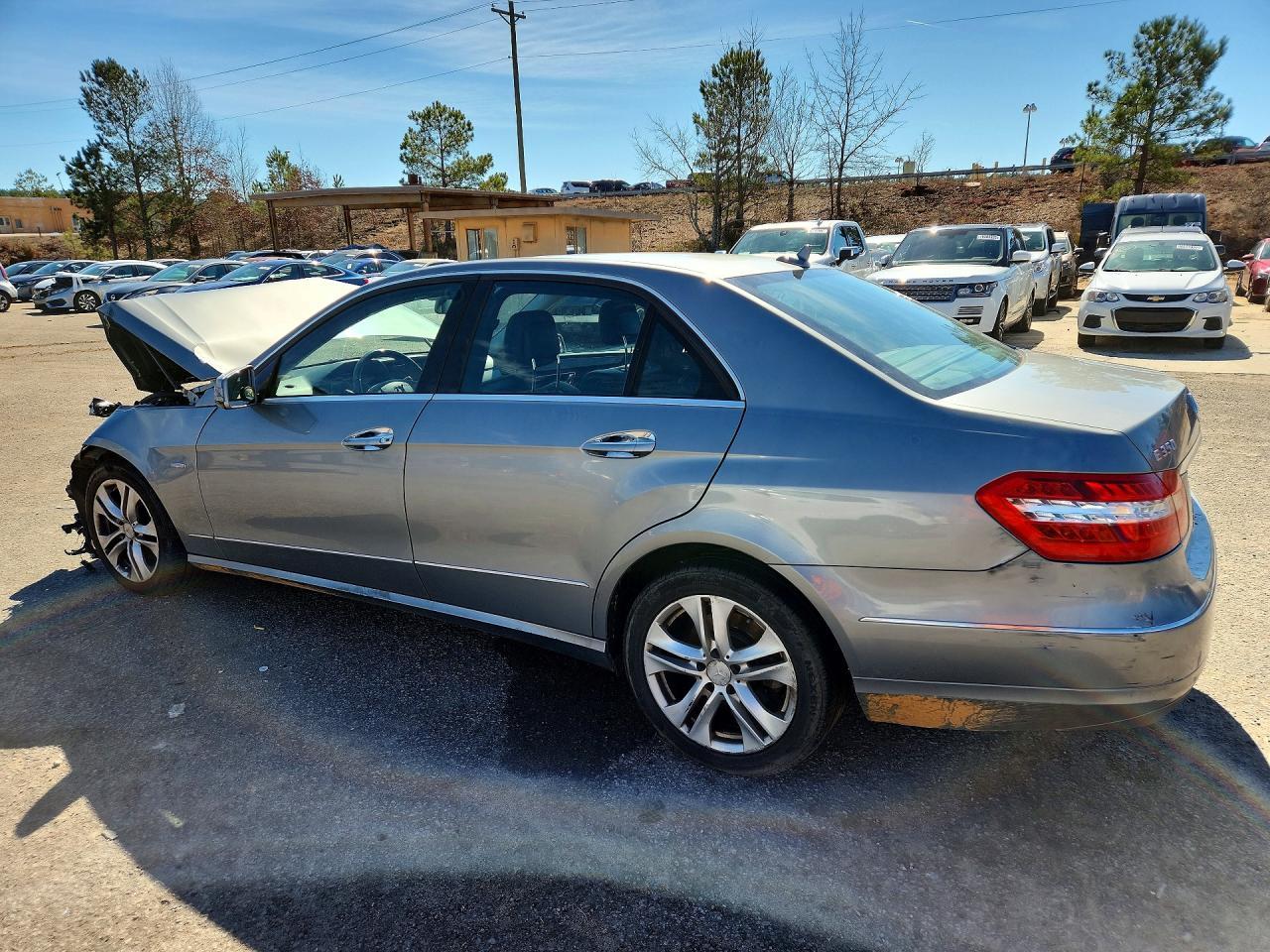 2011 Mercedes-Benz E 350 Bluetec - Фото 2