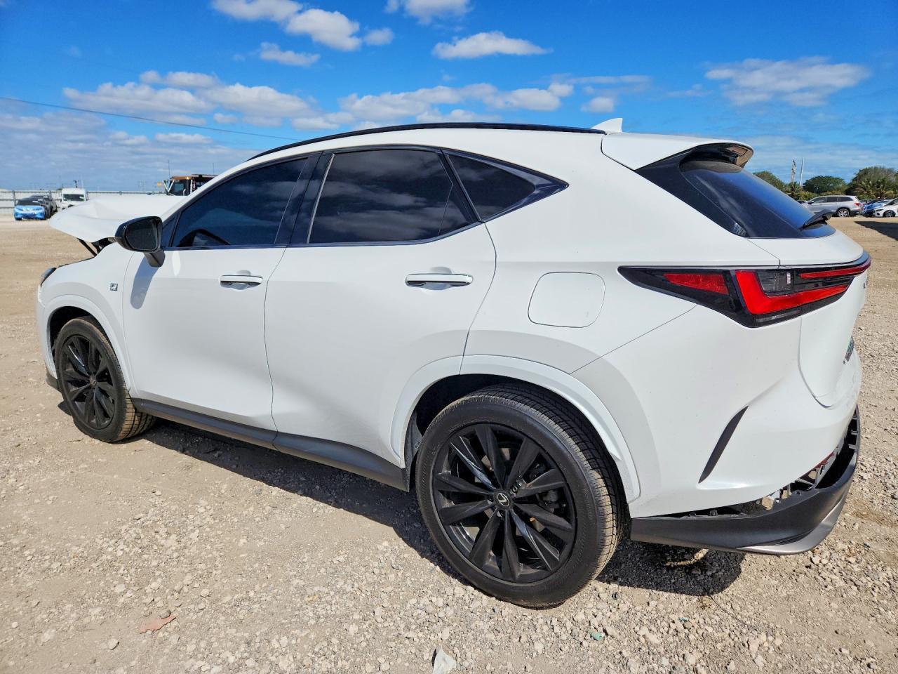 2024 Lexus Nx 350 F Sport Handling - Фото 2