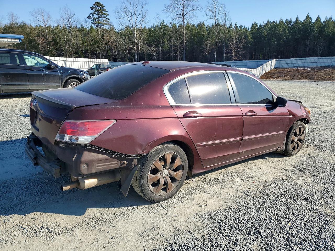 2008 Honda Accord Exl - Image 3
