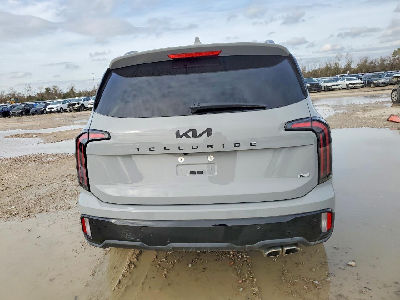 2024 Kia Telluride Ex - Image 6