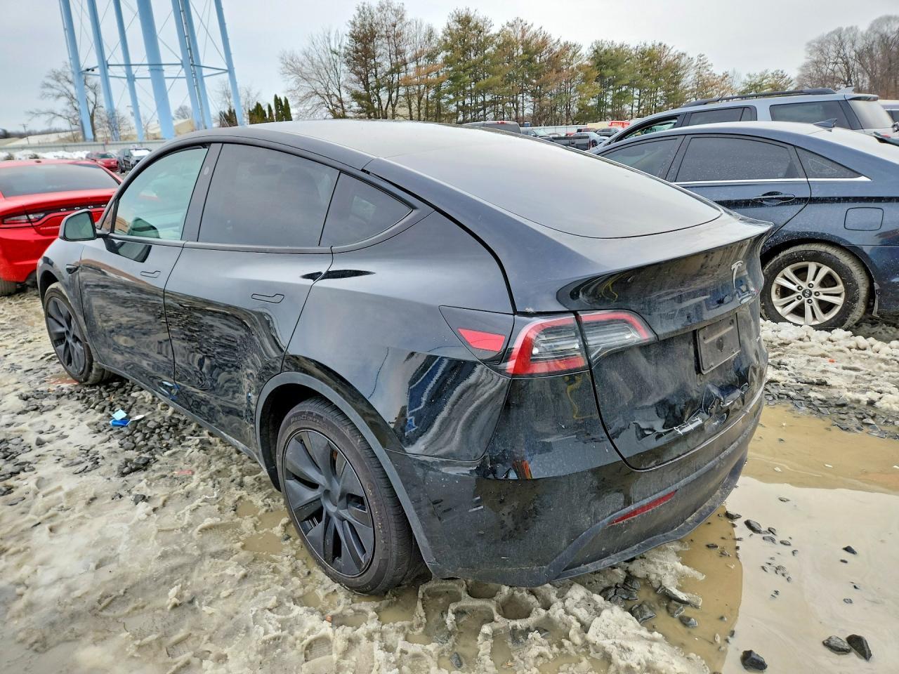2025 Tesla Model Y - Фото 2