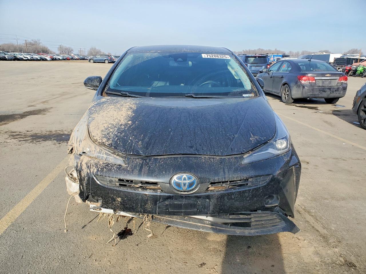 2020 Toyota Prius Xle - Image 5