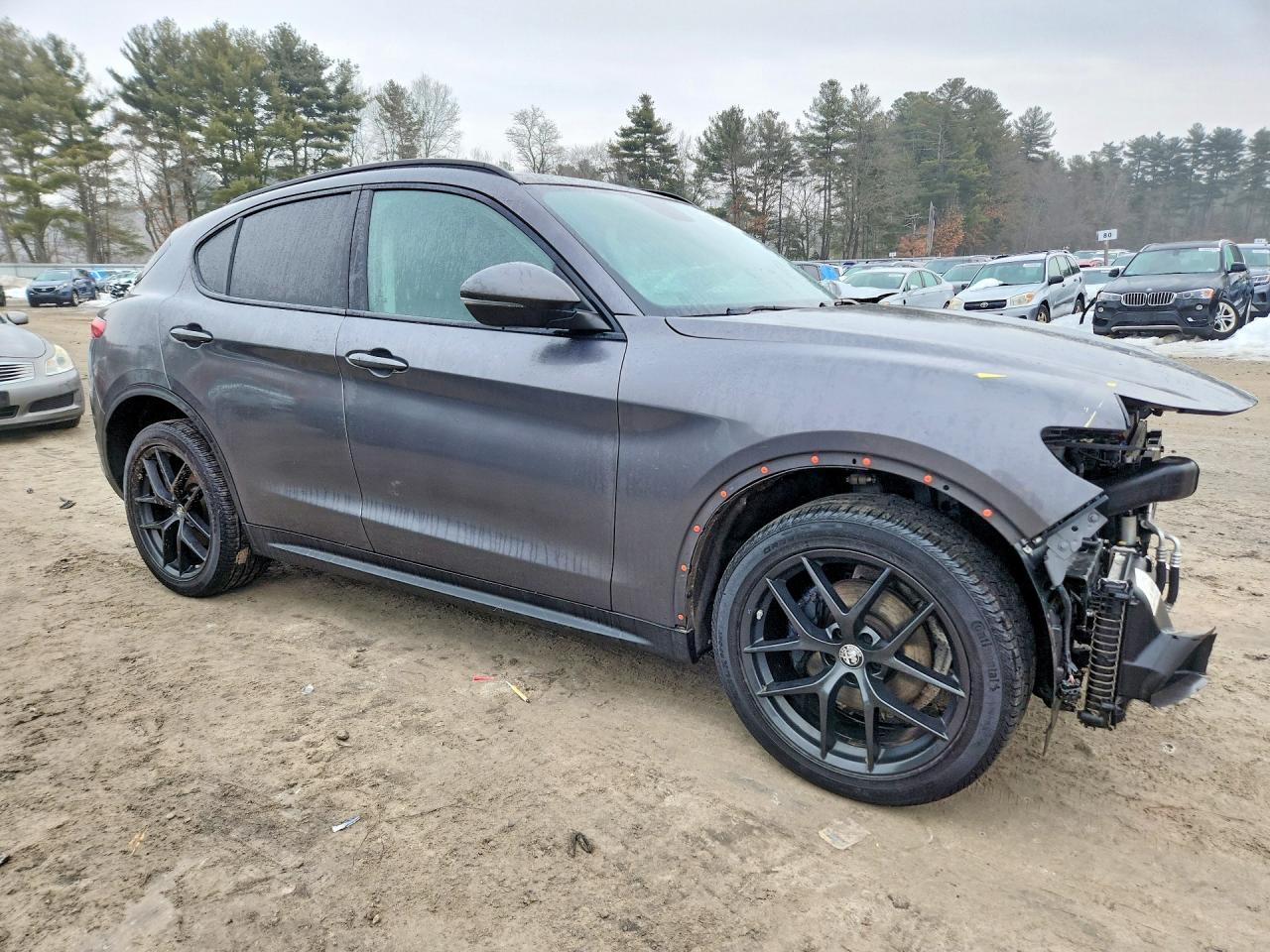 2019 Alfa Romeo Stelvio Quadrifoglio - Фото 4