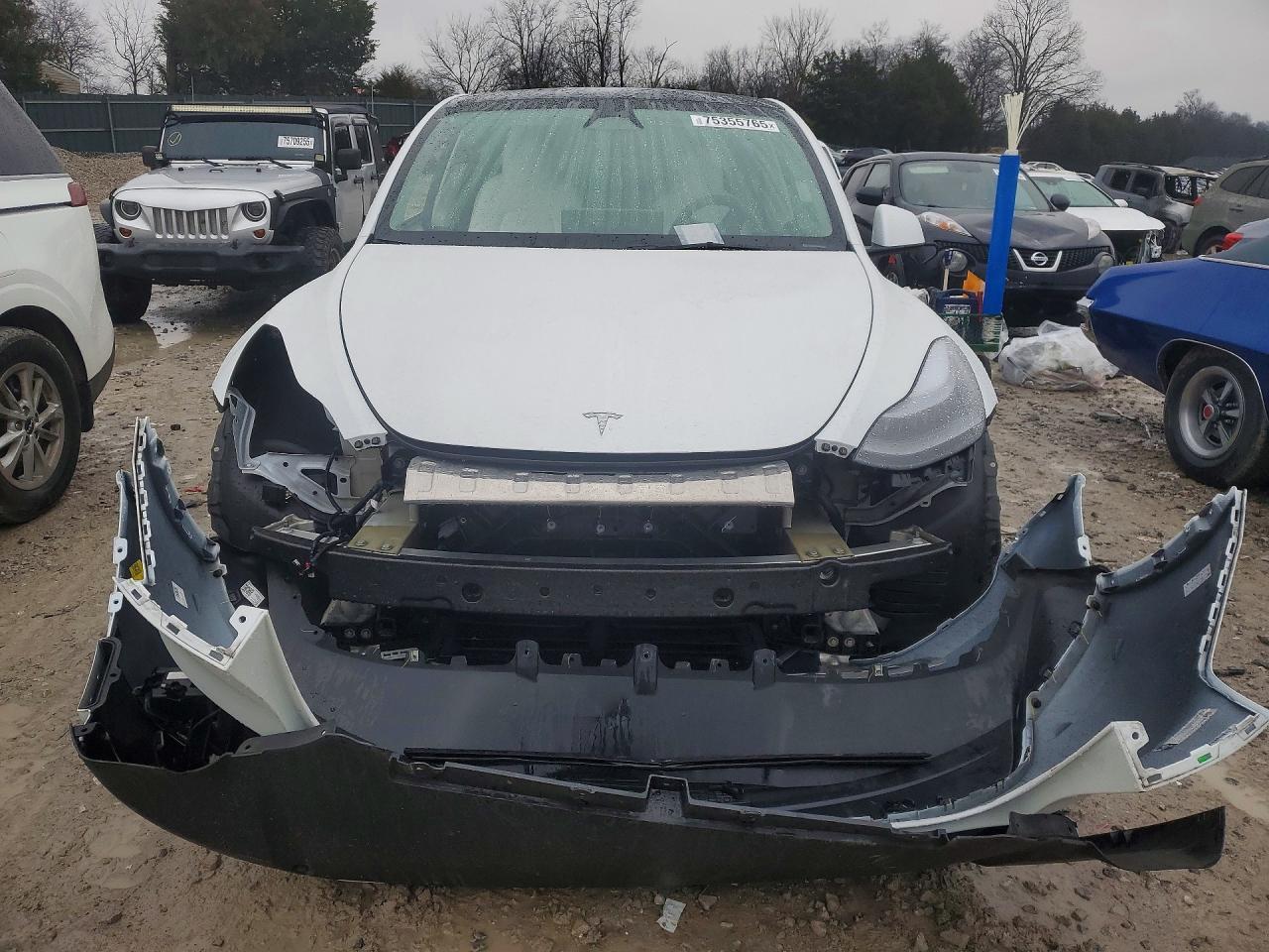 2023 Tesla Model Y - Image 5