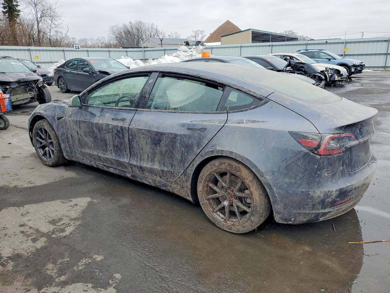 2023 Tesla Model 3 - Фото 2