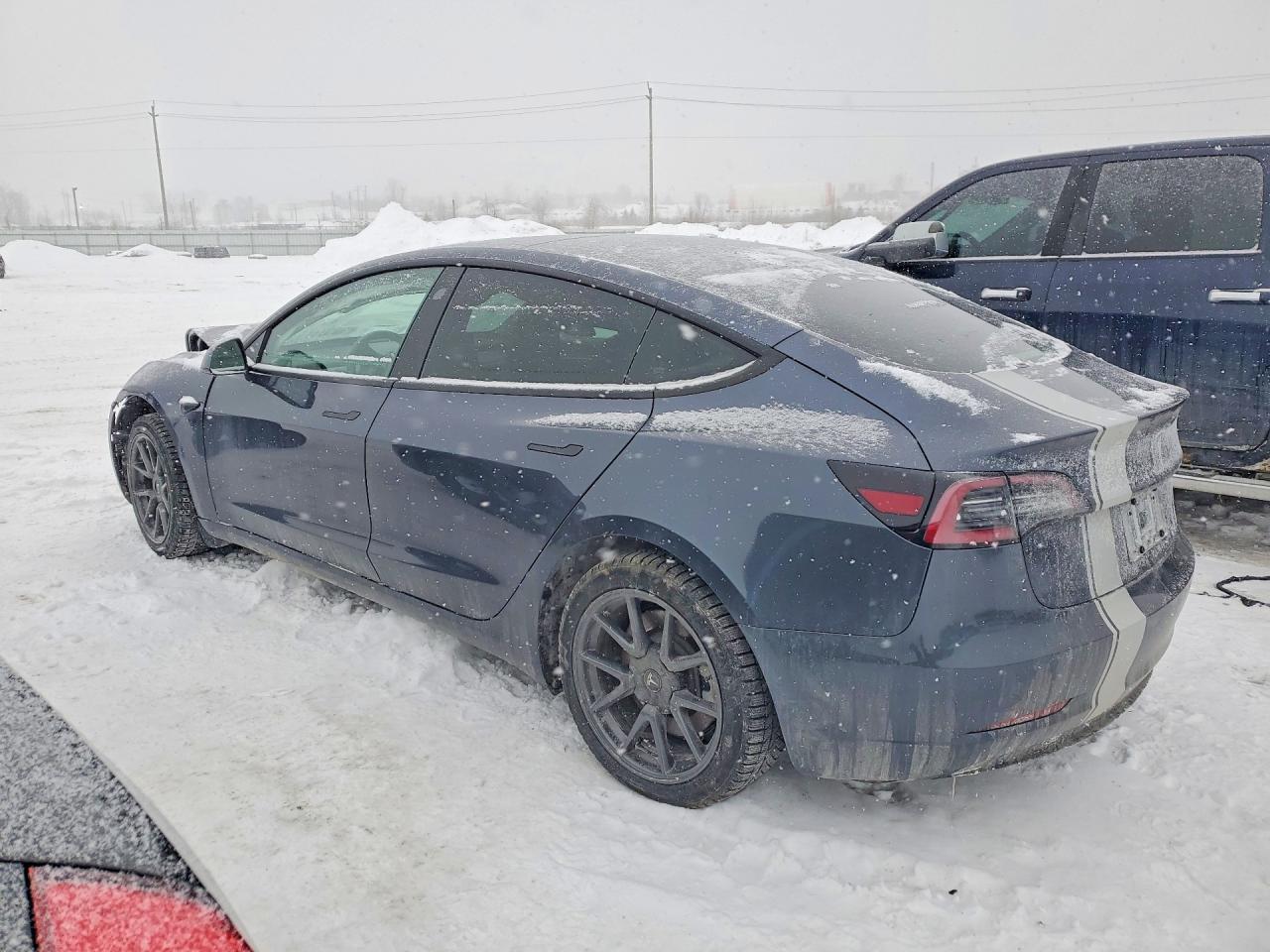 2023 Tesla Model 3 - Фото 2