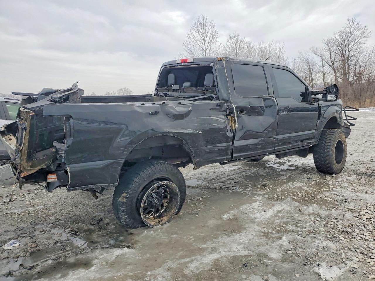2017 Ford F250 Super Duty - Фото 3