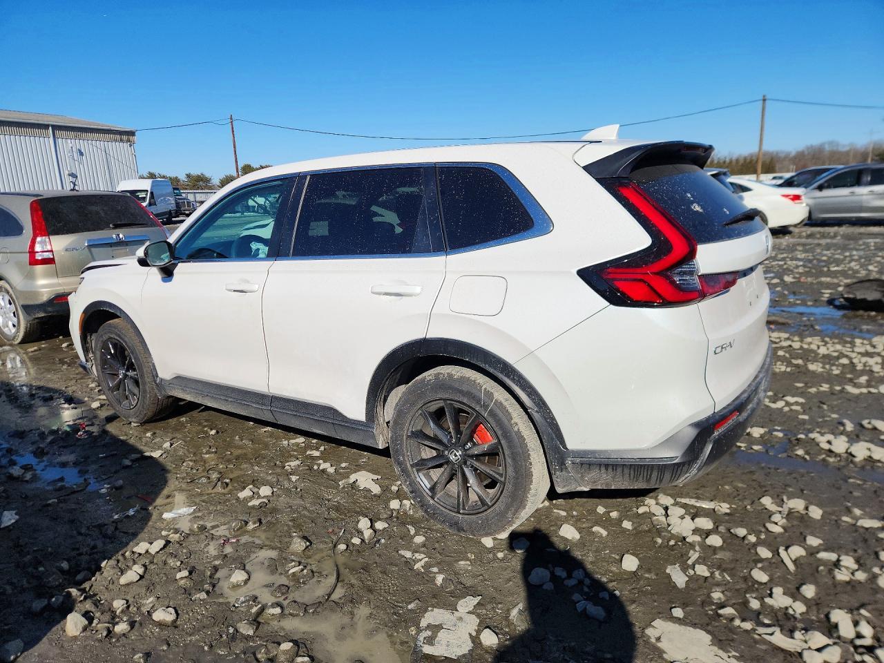 2025 Honda Cr-V Ex - Image 2