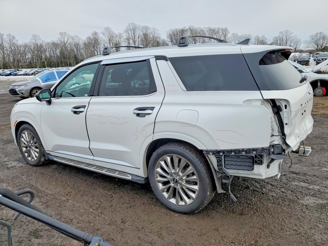2020 Hyundai Palisade Limited - Фото 2