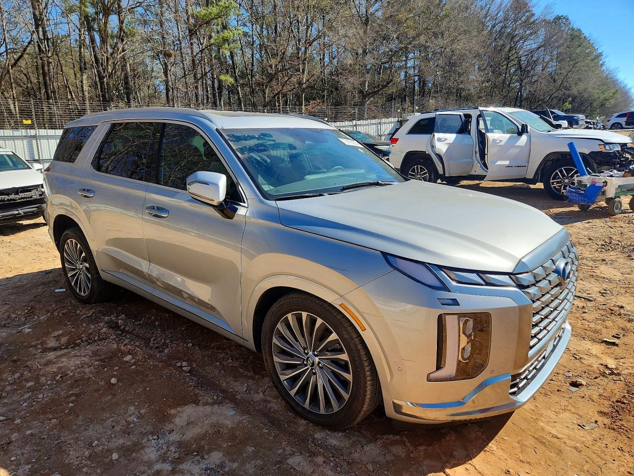 2024 Hyundai Palisade Calligraphy - Фото 4