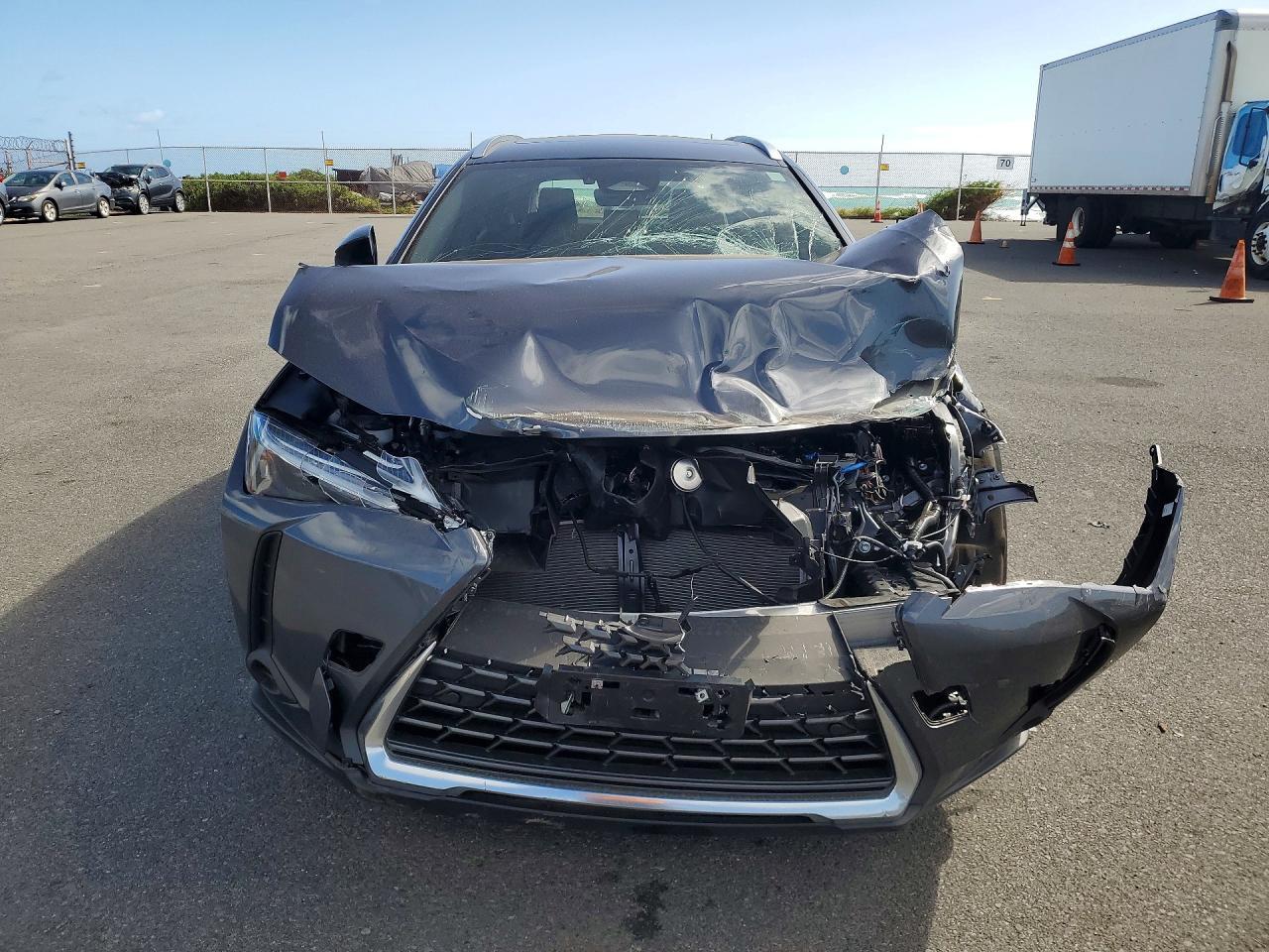 2025 Lexus Ux 300H Base - Фото 5
