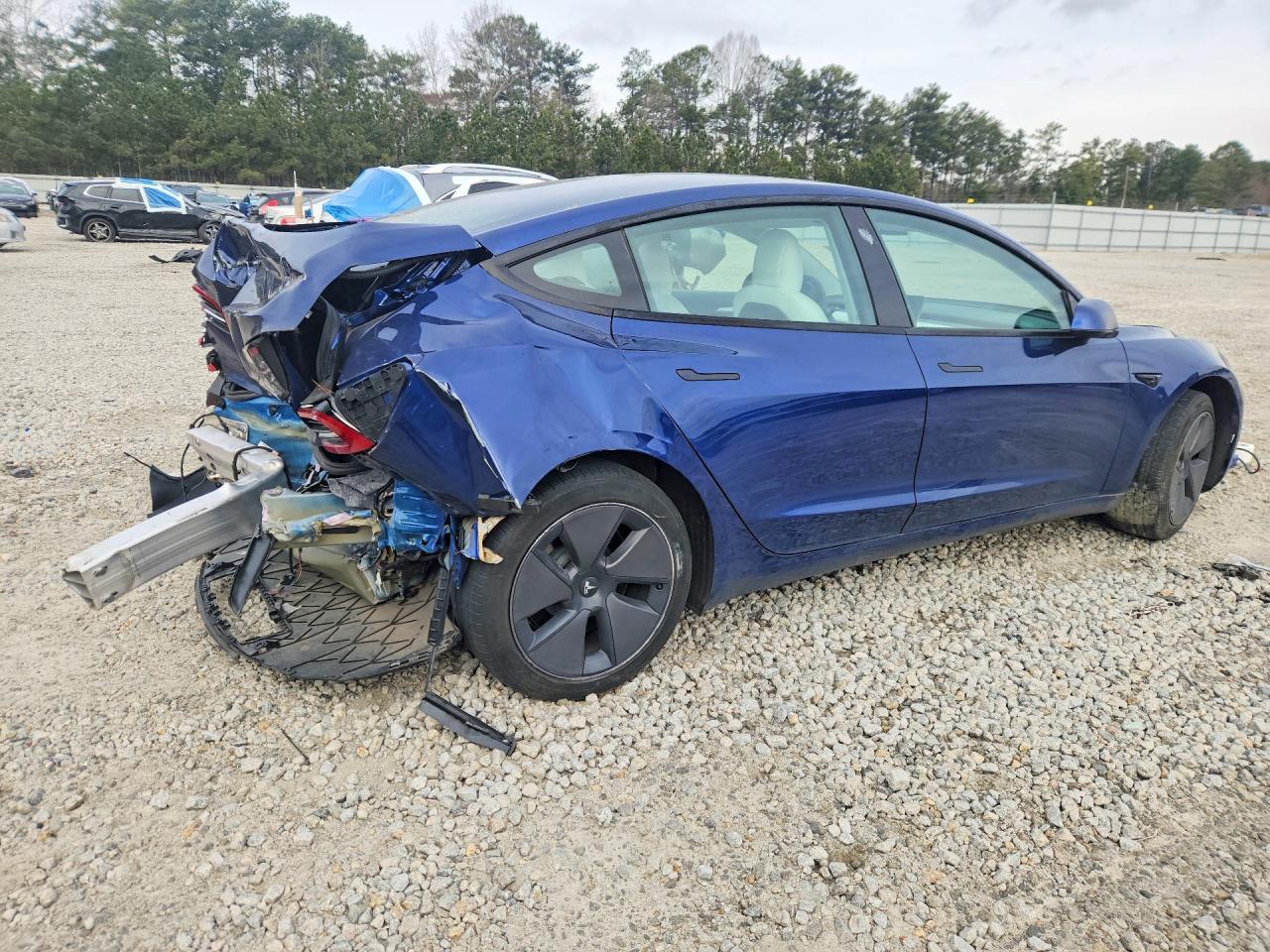 2021 Tesla Model 3 - Фото 3