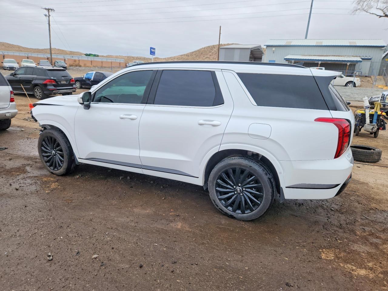 2025 Hyundai Palisade Calligraphy - Фото 2