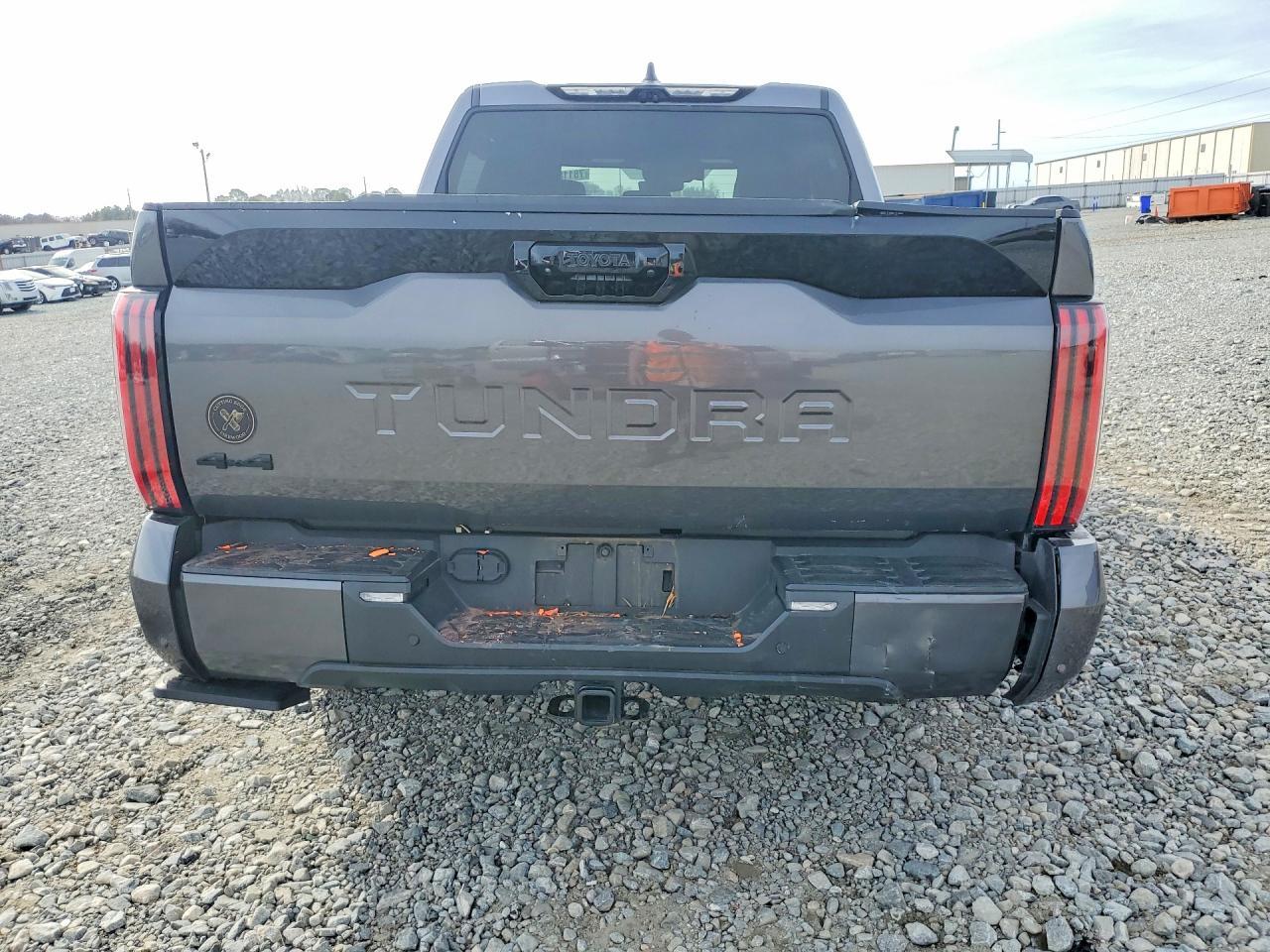 2024 Toyota Tundra Platinum - Фото 6