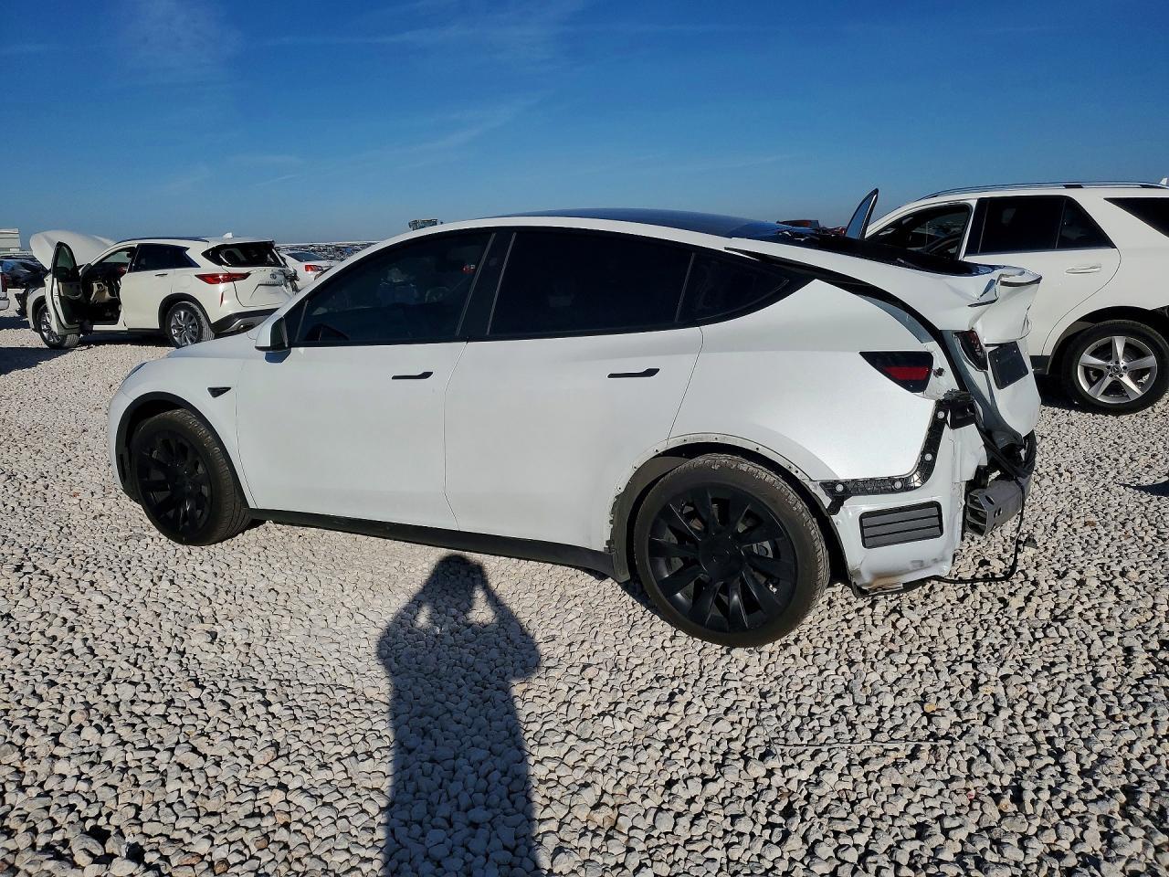2023 Tesla Model Y - Фото 2