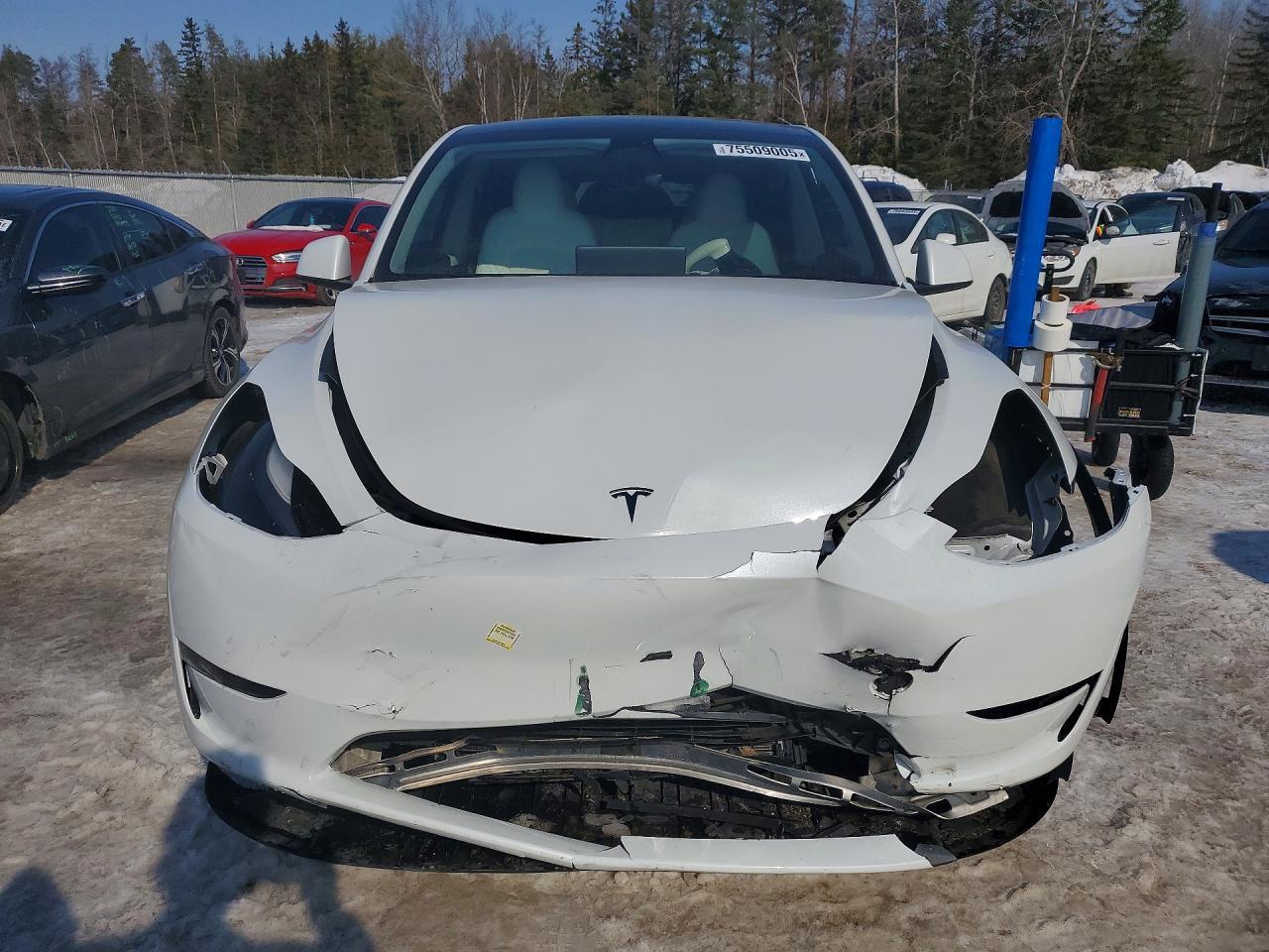 2023 Tesla Model Y - Image 5
