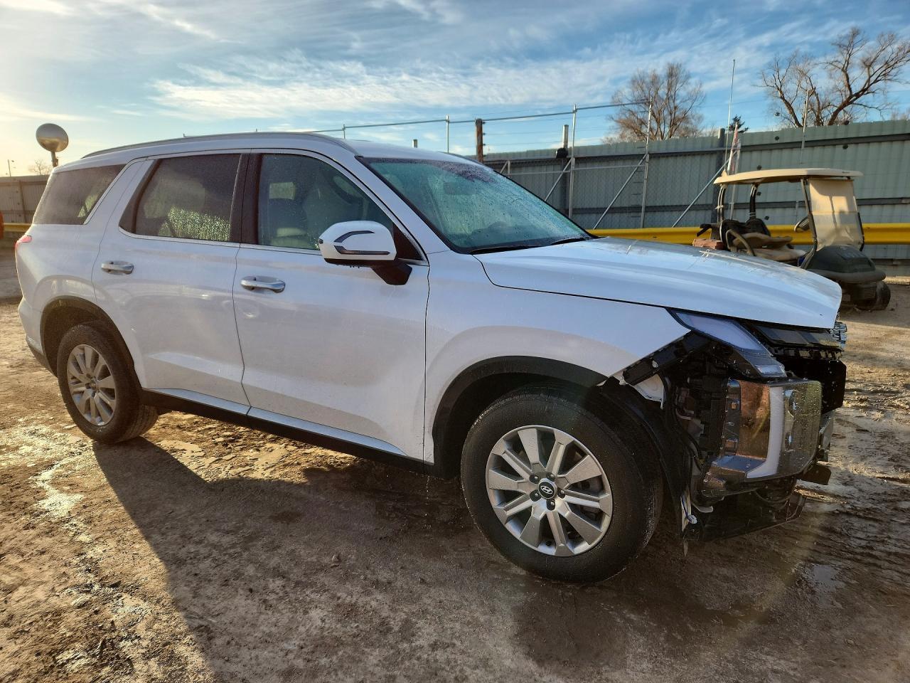 2025 Hyundai Palisade Sel - Фото 4