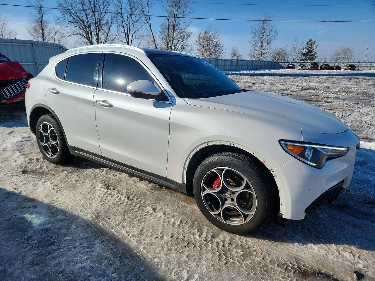 2018 Alfa Romeo Stelvio Ti Luxury - Фото 4
